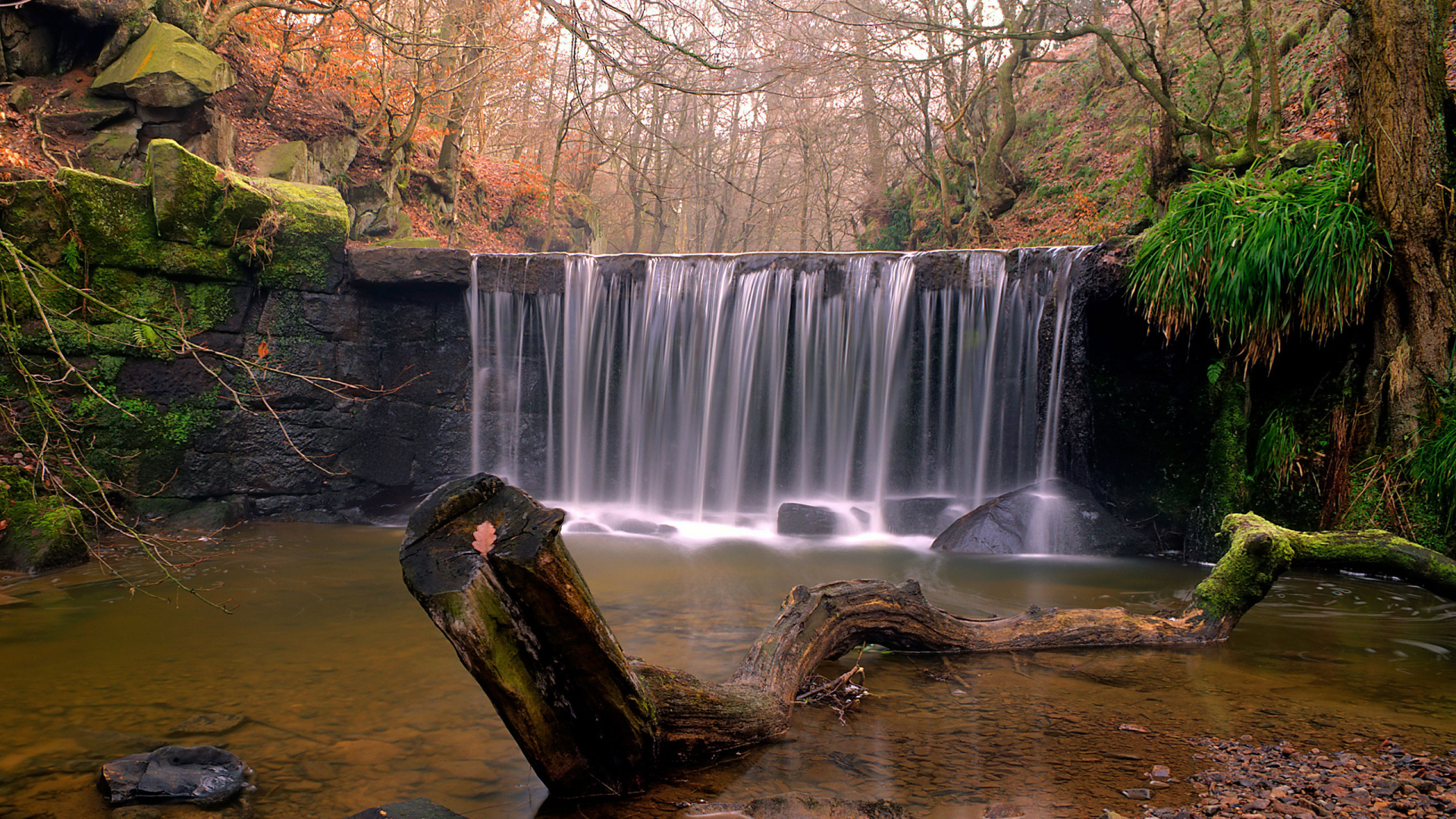 Brown Tree Trunk Near Waterfalls During Daytime. Wallpaper in 1920x1080 Resolution
