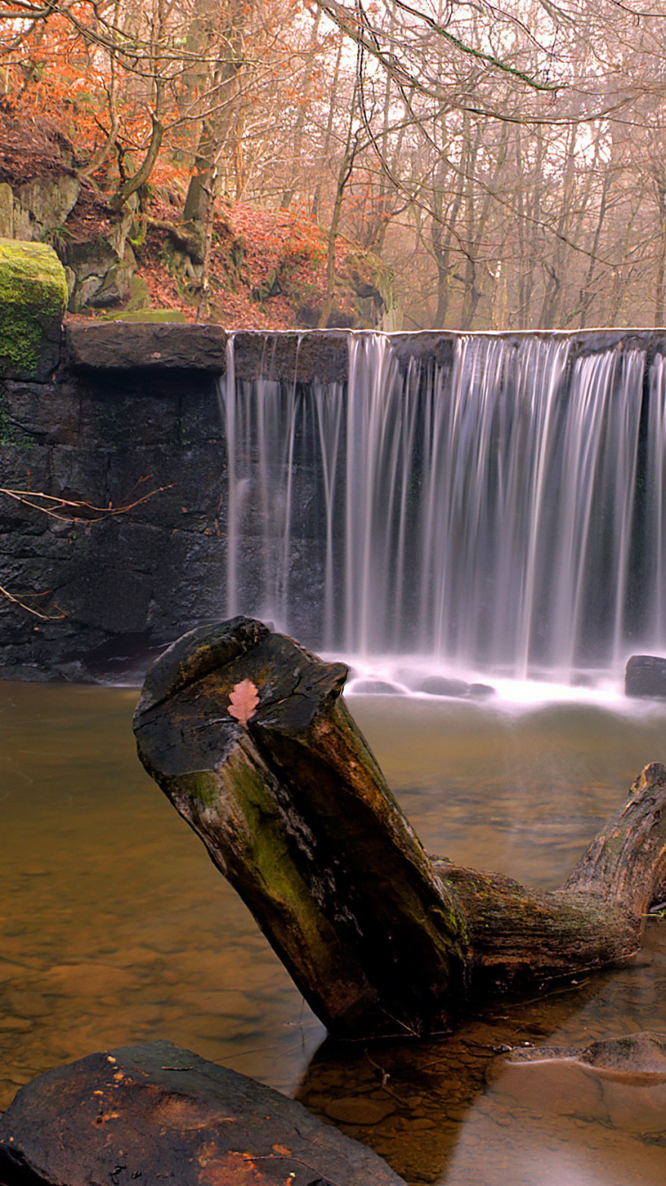 Brown Tree Trunk Near Waterfalls During Daytime. Wallpaper in 750x1334 Resolution