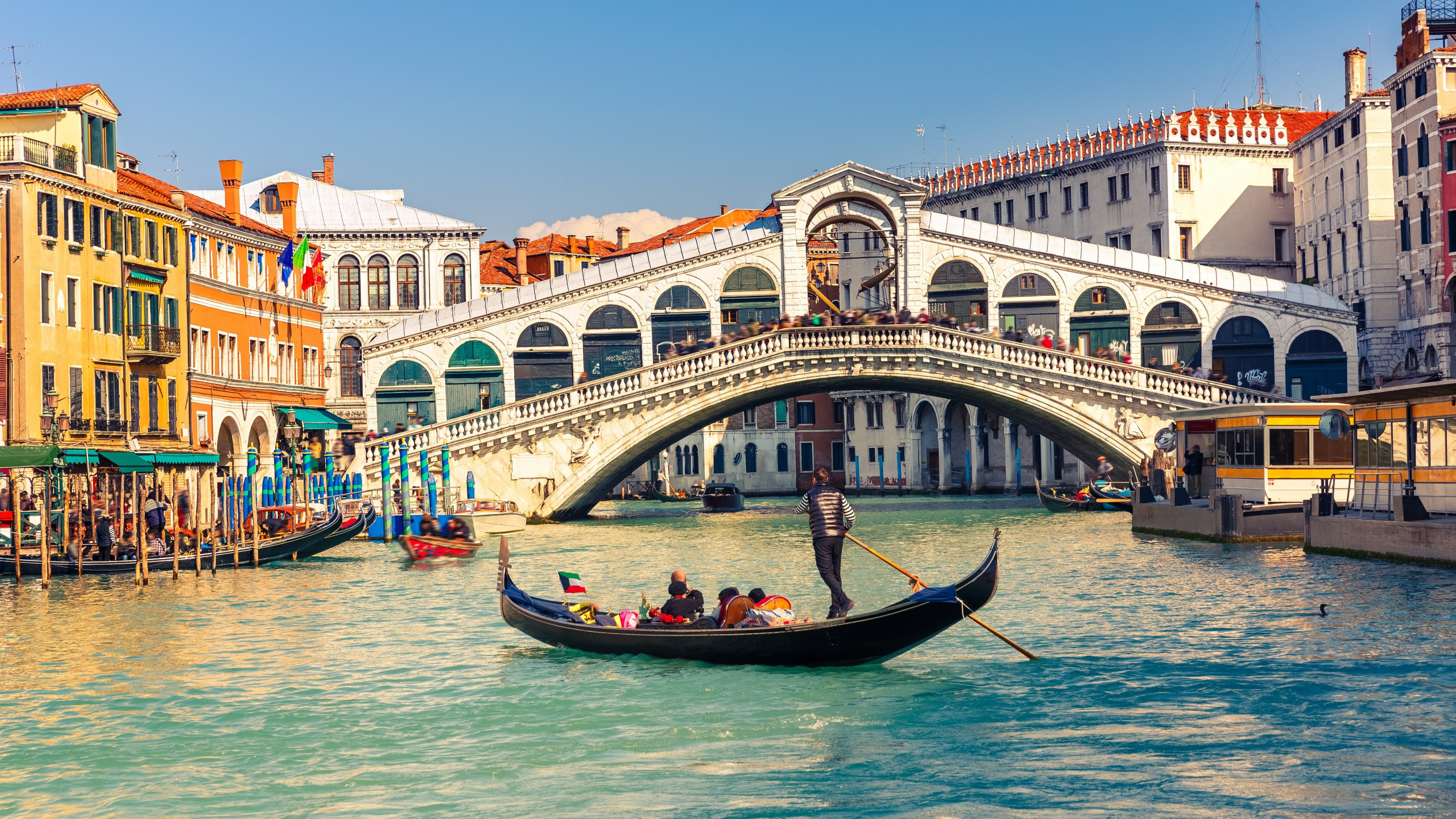 People Riding on Boat on River Near Bridge During Daytime. Wallpaper in 2560x1440 Resolution