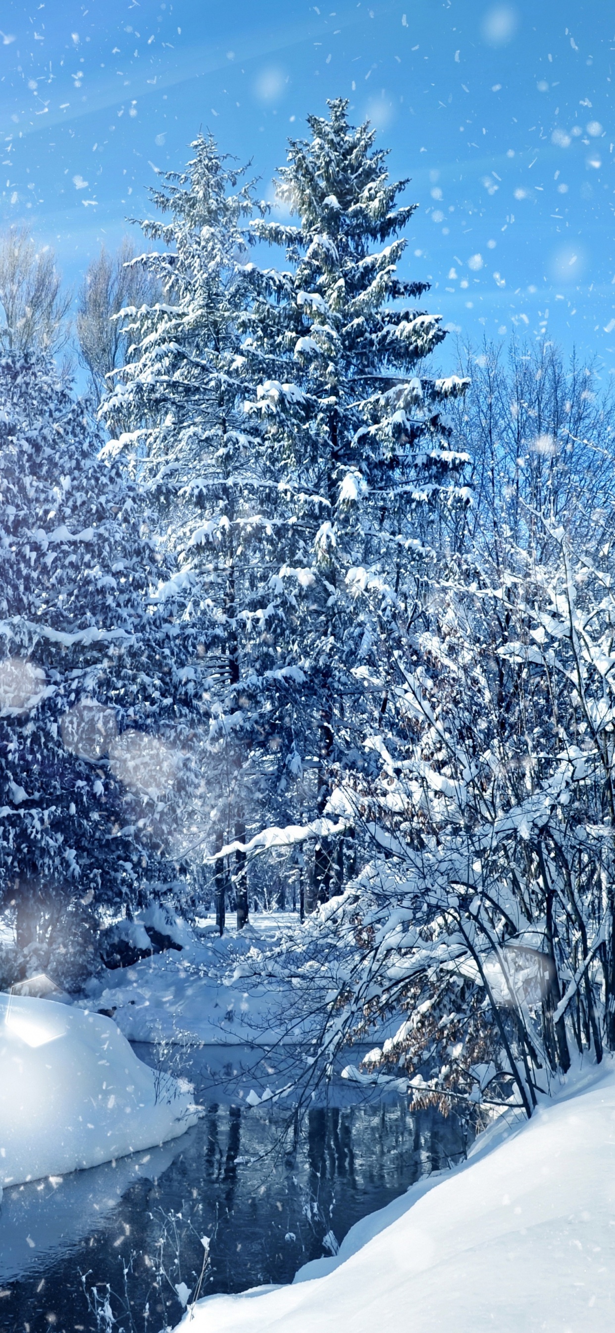 Schneebedeckte Bäume Unter Blauem Himmel Tagsüber. Wallpaper in 1242x2688 Resolution