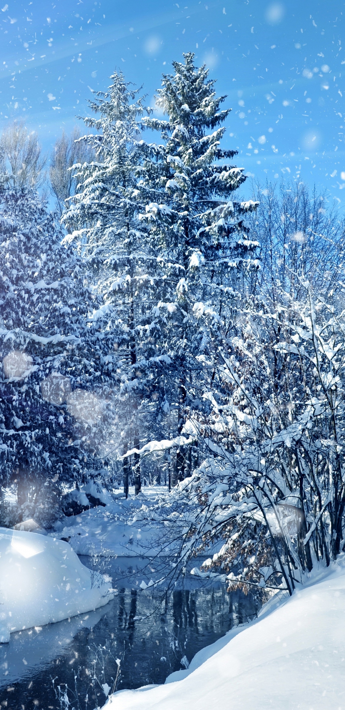 Schneebedeckte Bäume Unter Blauem Himmel Tagsüber. Wallpaper in 1440x2960 Resolution