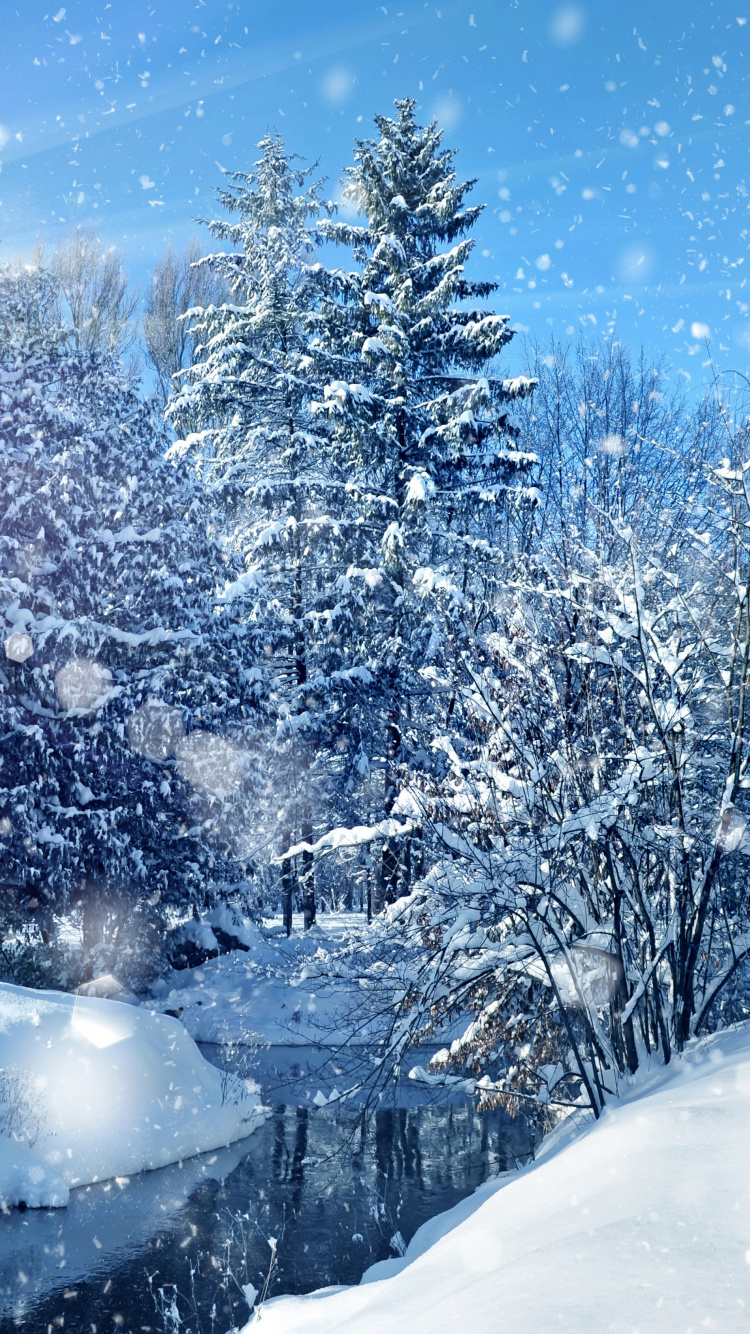 Schneebedeckte Bäume Unter Blauem Himmel Tagsüber. Wallpaper in 750x1334 Resolution