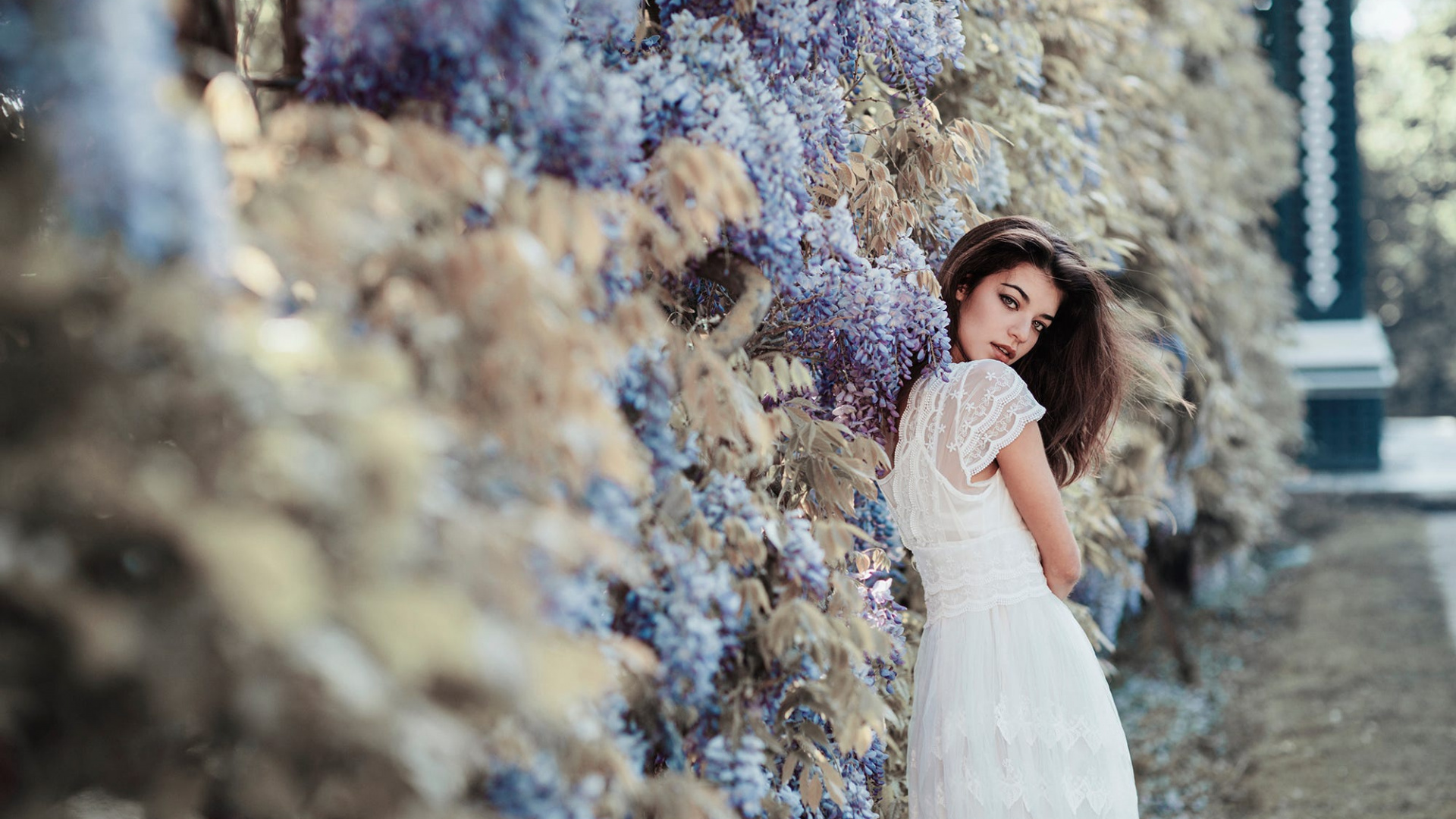 Dress, Beauty, Tree, Fashion, Wedding Dress. Wallpaper in 1920x1080 Resolution