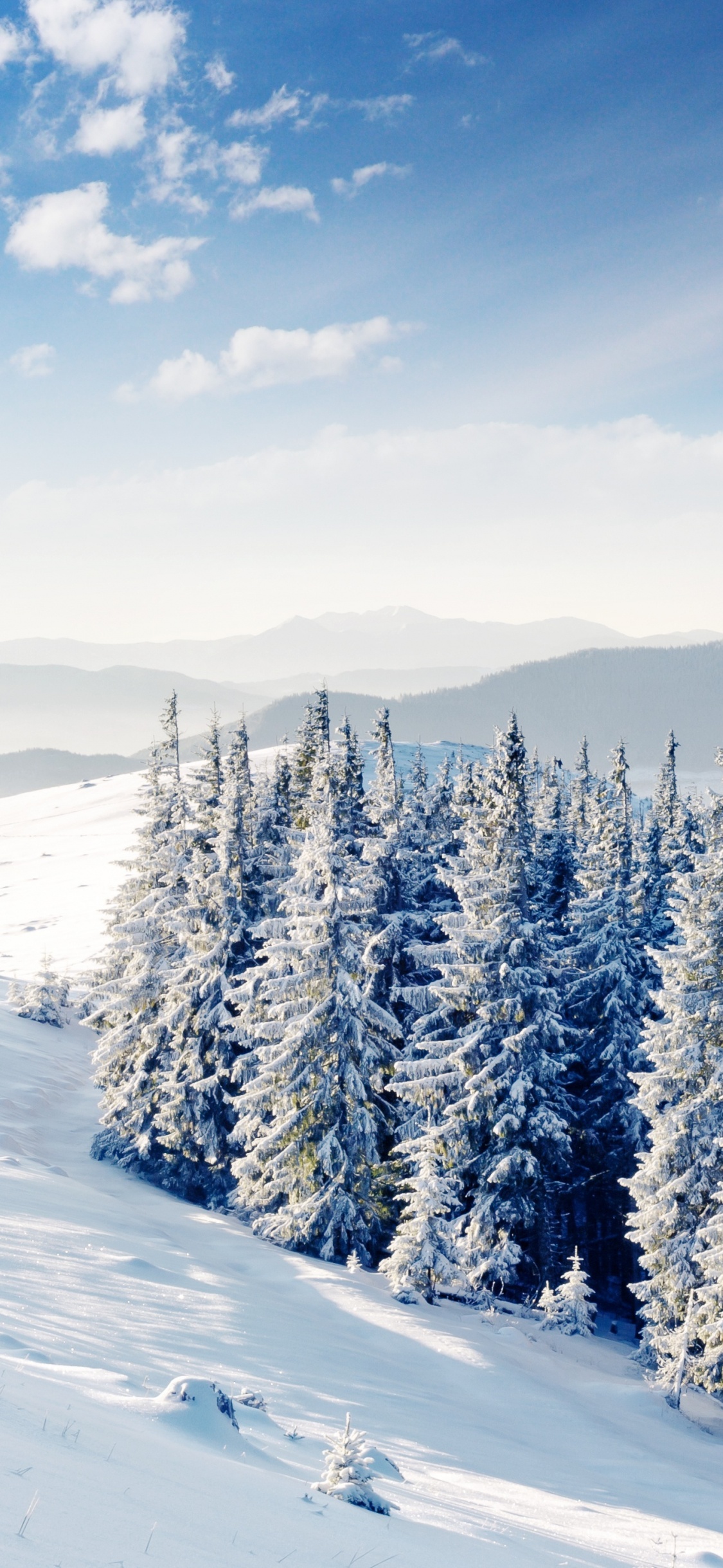 冬天, 多山的地貌, 冻结, 北极, 滑雪道 壁纸 1125x2436 允许