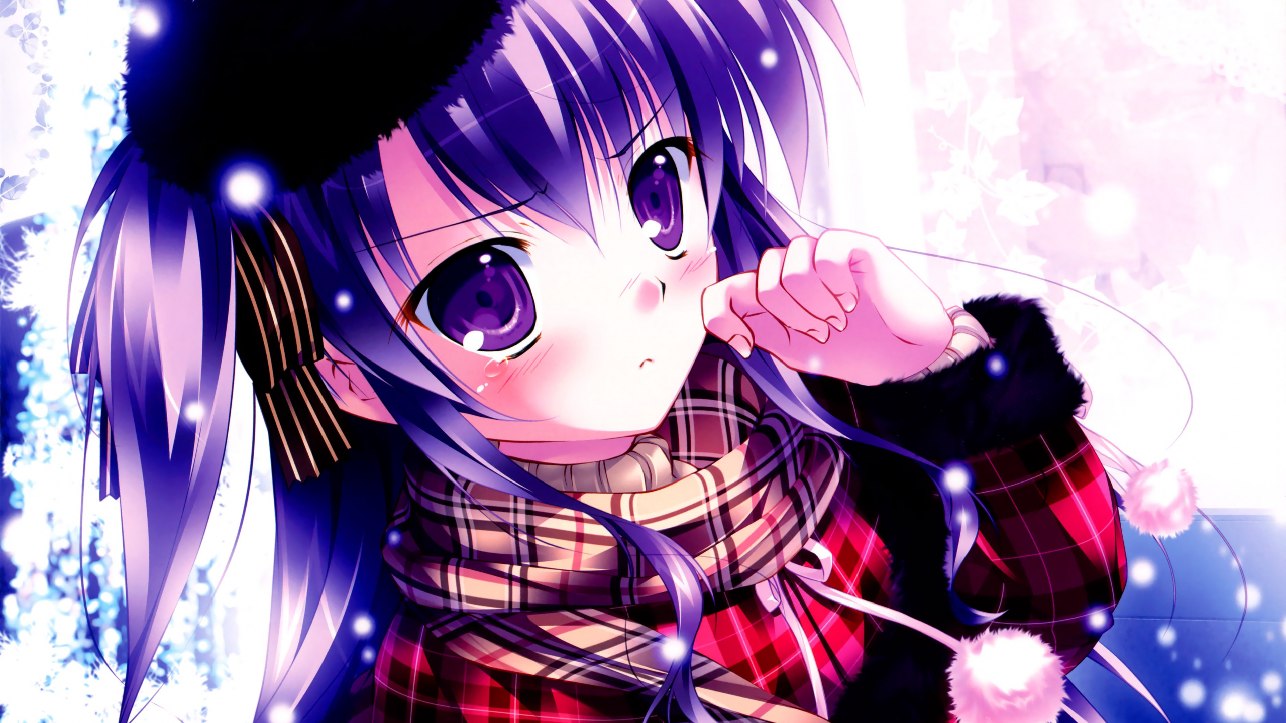 Purple Haired Girl Anime Character. Wallpaper in 2560x1440 Resolution