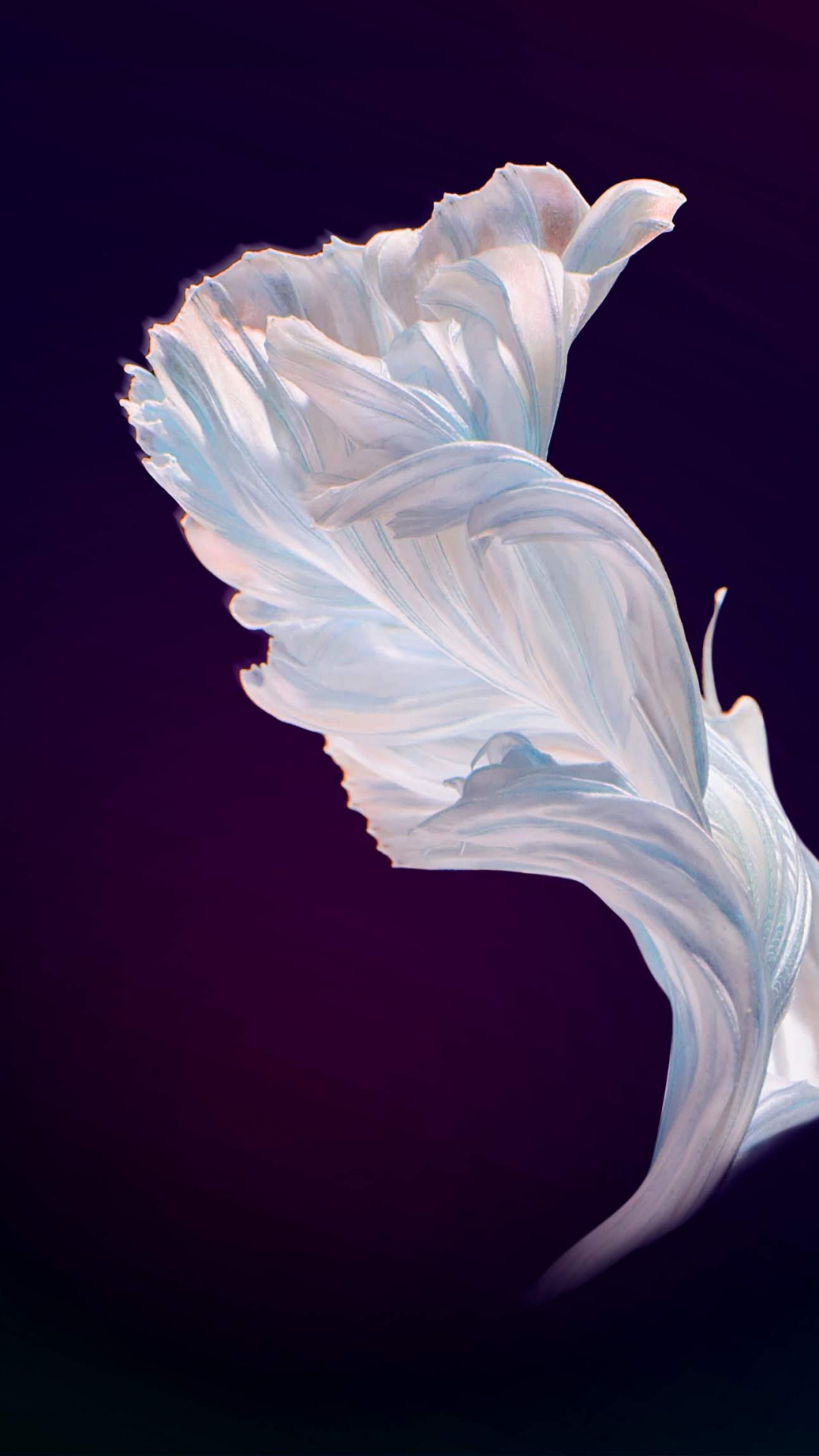 Huawei, Huawei Nova, Huawei Nova 4, Invens A9, Huawei Nova 4e. Wallpaper in 1080x1920 Resolution