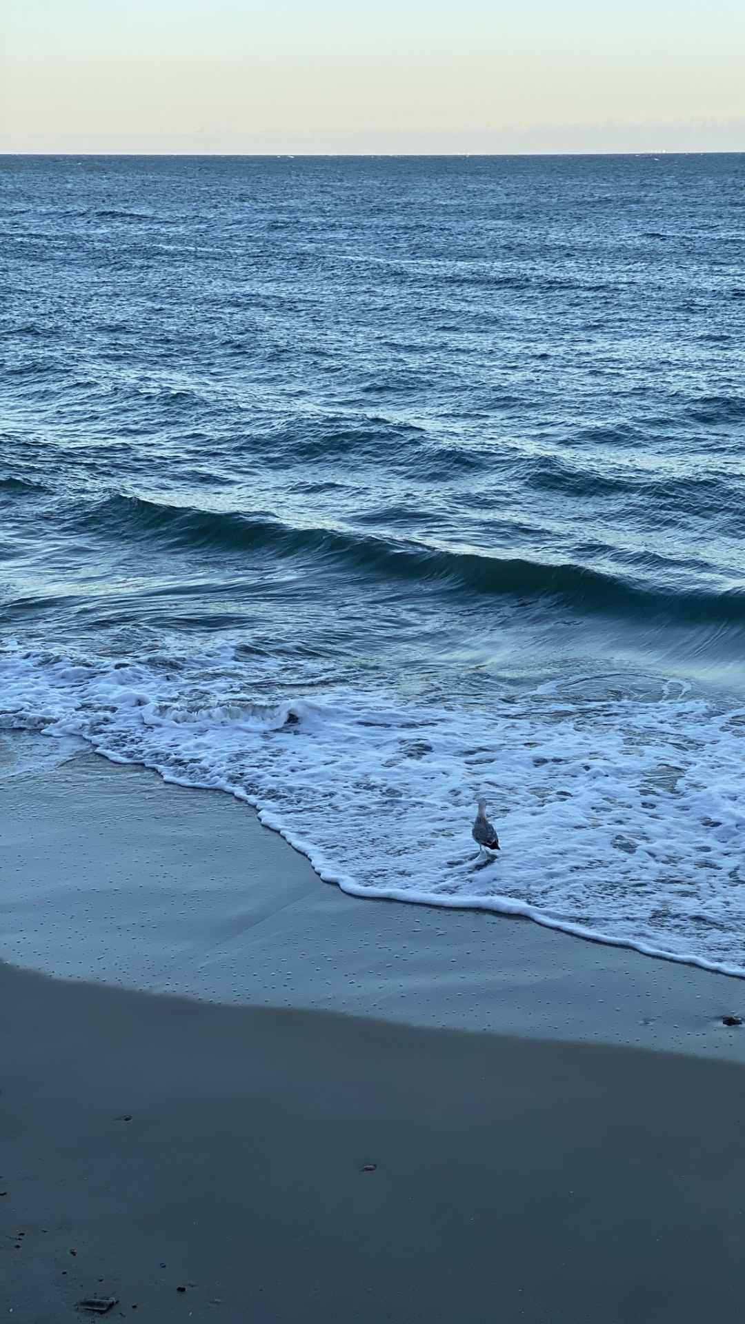 大海, 科学, 物理学, 人体内的水, 流体 壁纸 1080x1920 允许