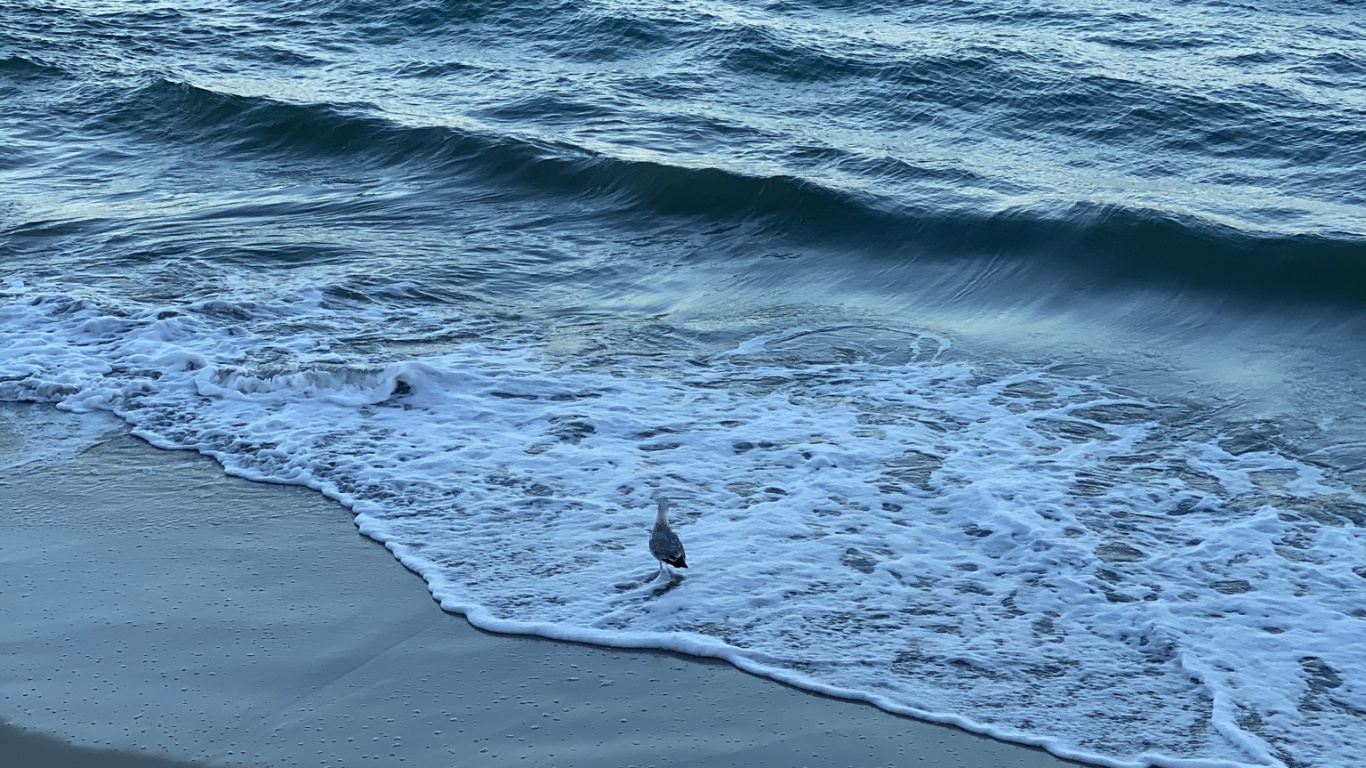 Meer, Wasser, Wissenschaft, Physik, Gewässer. Wallpaper in 1366x768 Resolution