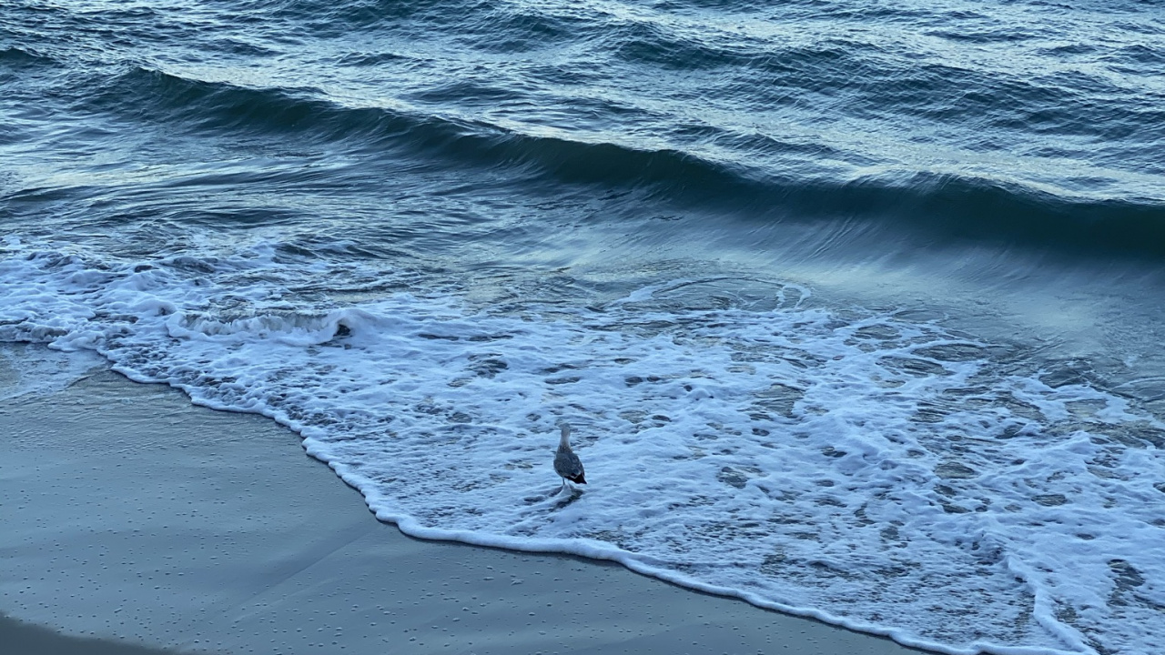 Mer, Eau, Sciences, Physique, Corps de L'eau. Wallpaper in 1280x720 Resolution