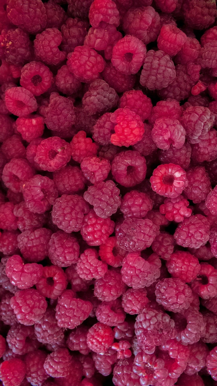 Telefon, Rote Himbeere, Himbeere, Lebensmittel, Zutat. Wallpaper in 720x1280 Resolution