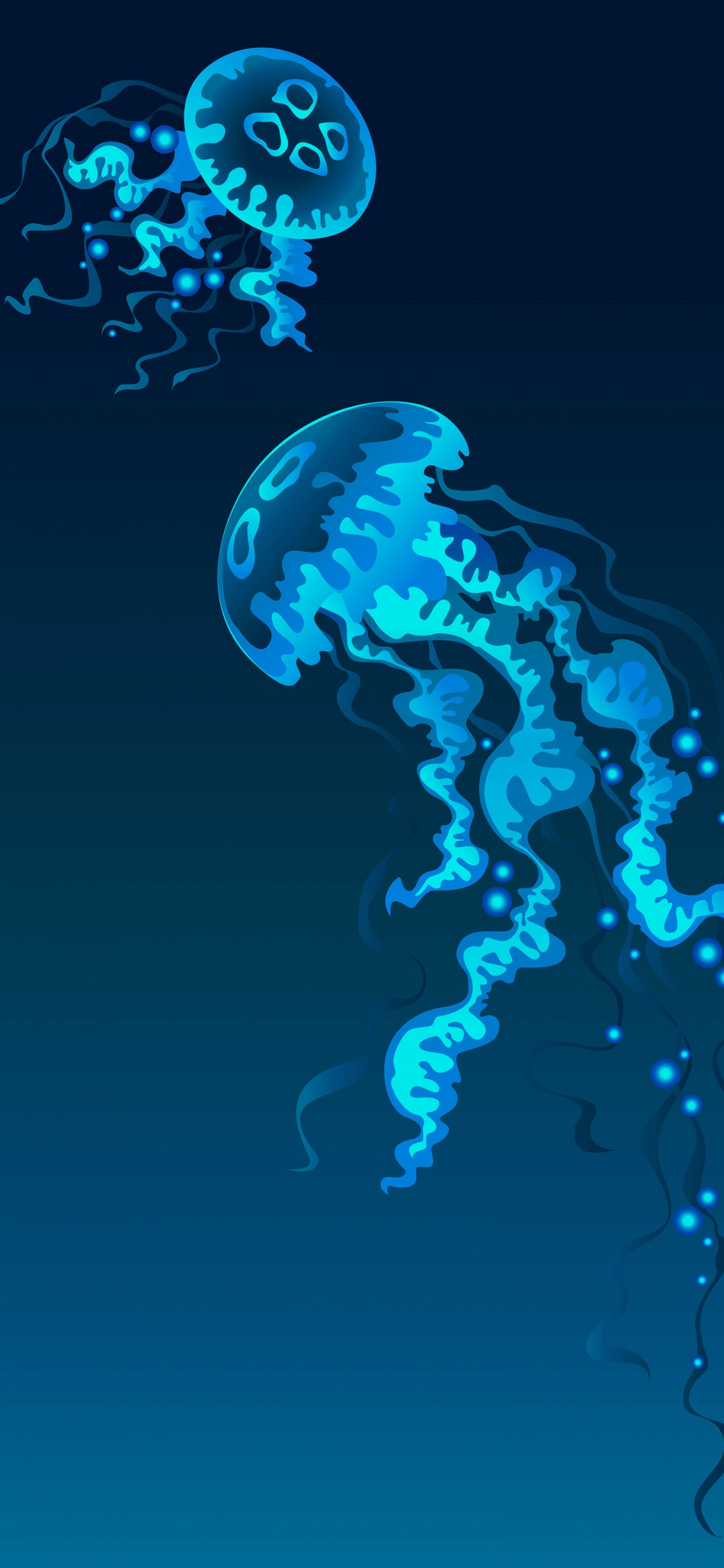 Las Medusas, Cnidaria, Medusa Azul, Plancton, Vector. Wallpaper in 1242x2688 Resolution