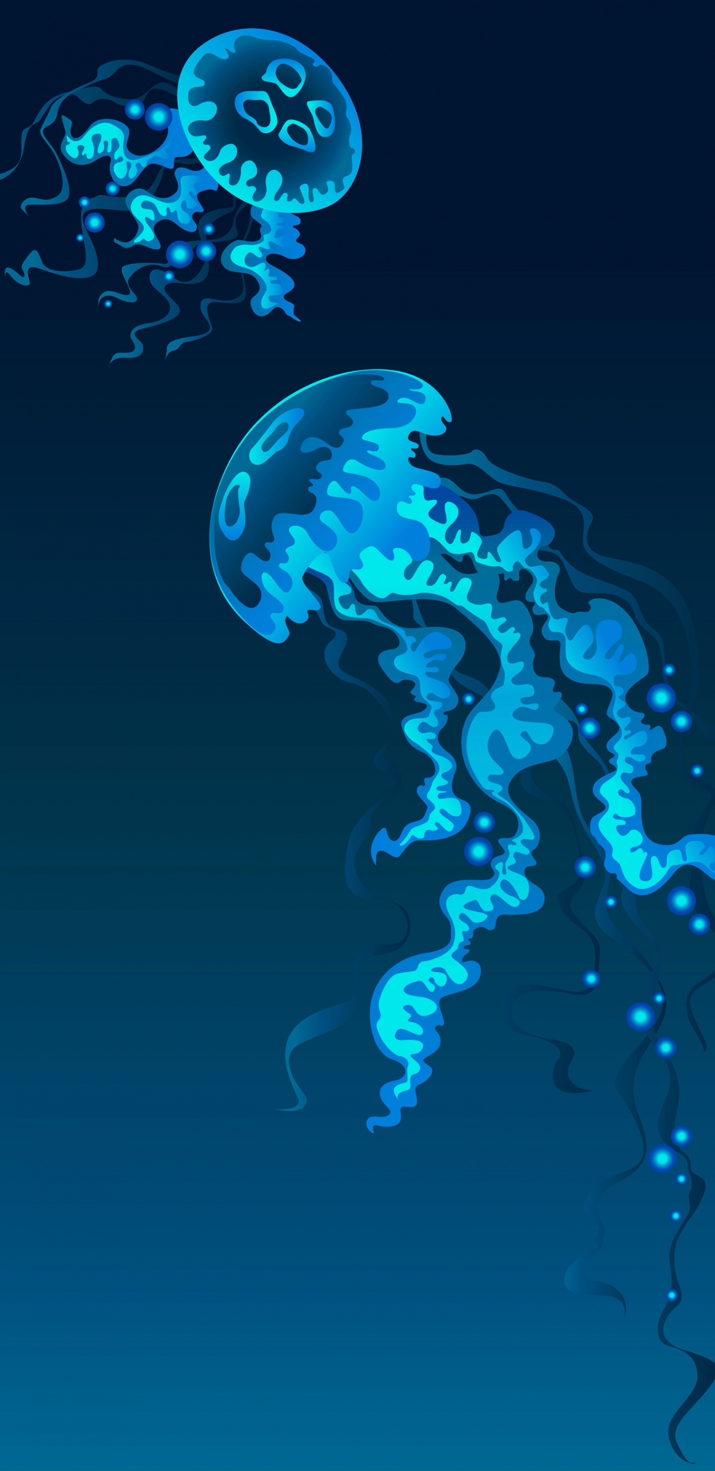 Las Medusas, Cnidaria, Medusa Azul, Plancton, Vector. Wallpaper in 1440x2960 Resolution
