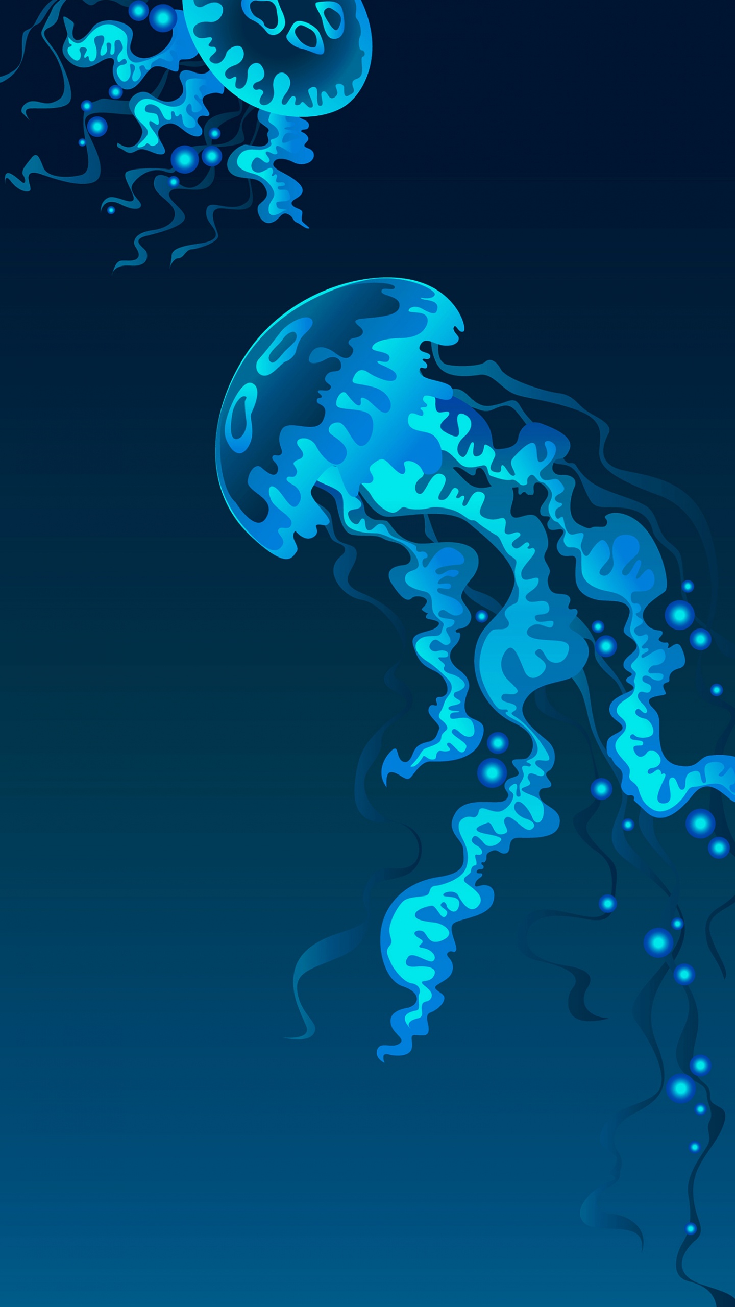 Méduse, Cnidaires, Méduse Bleue, Plancton, Vecteur. Wallpaper in 1440x2560 Resolution