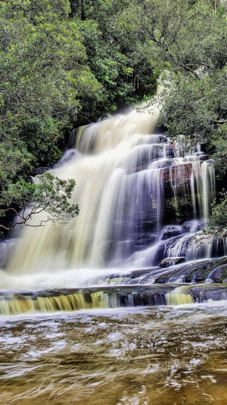 el Agua Cae en Medio de Árboles Verdes. Wallpaper in 750x1334 Resolution