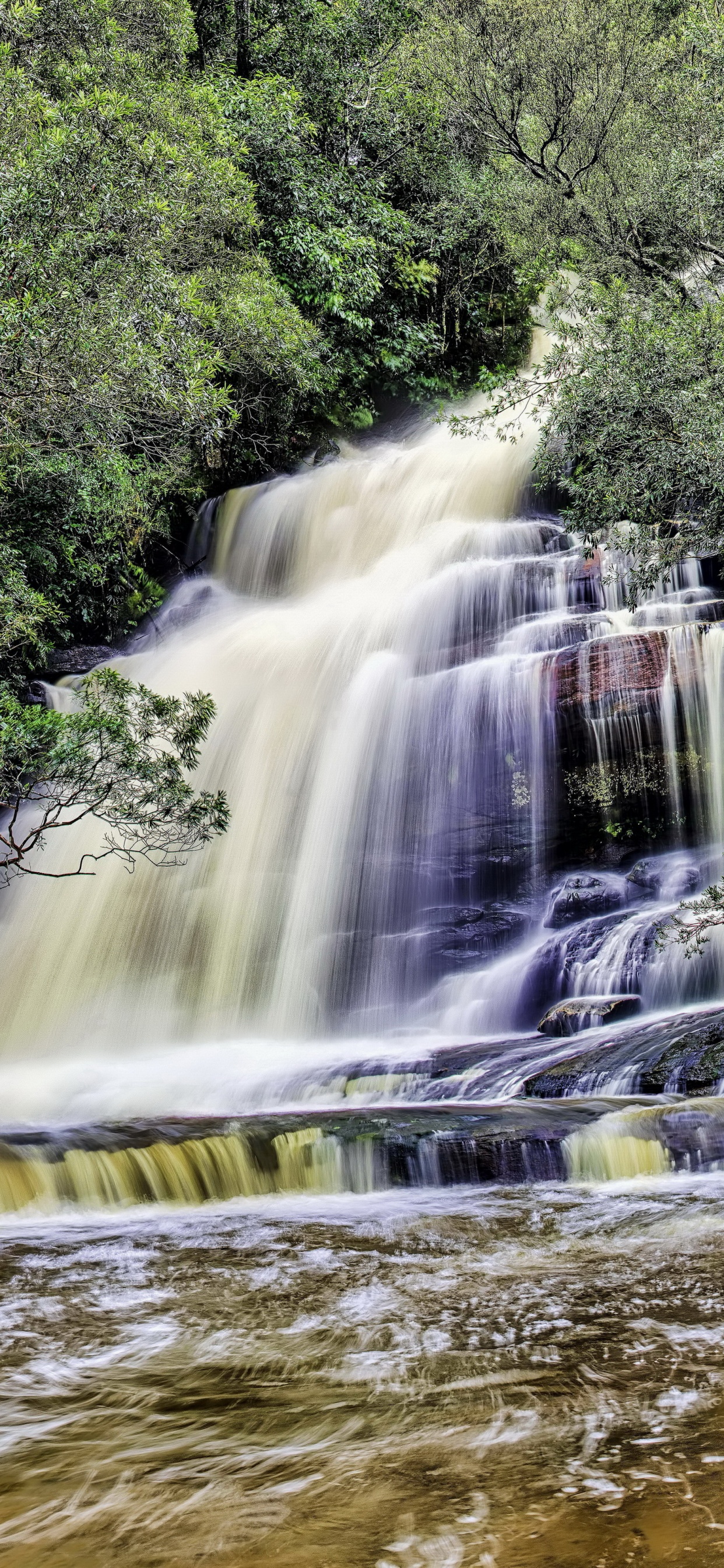 Wasser Fällt Mitten in Grüne Bäume. Wallpaper in 1242x2688 Resolution