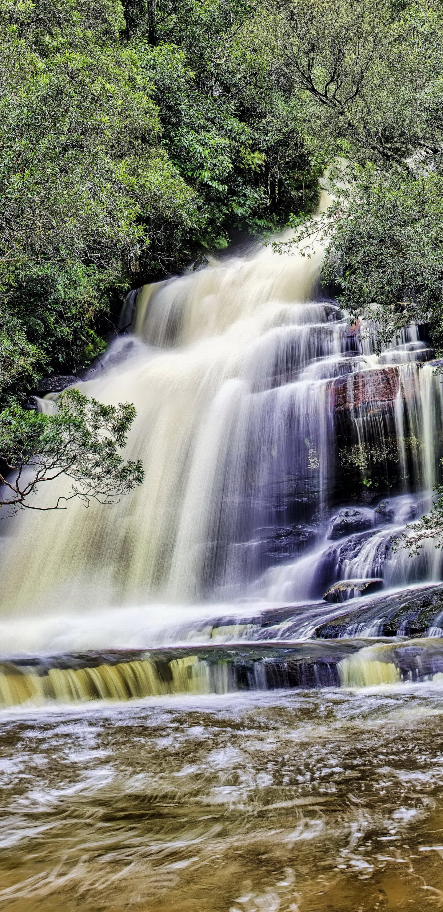 Water Falls in The Middle of Green Trees. Wallpaper in 1440x2960 Resolution