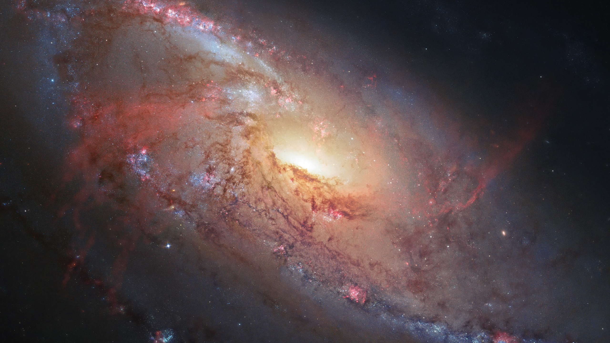 Braune Und Schwarze Galaxieillustration. Wallpaper in 2560x1440 Resolution