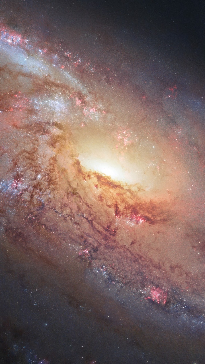 Braune Und Schwarze Galaxieillustration. Wallpaper in 720x1280 Resolution