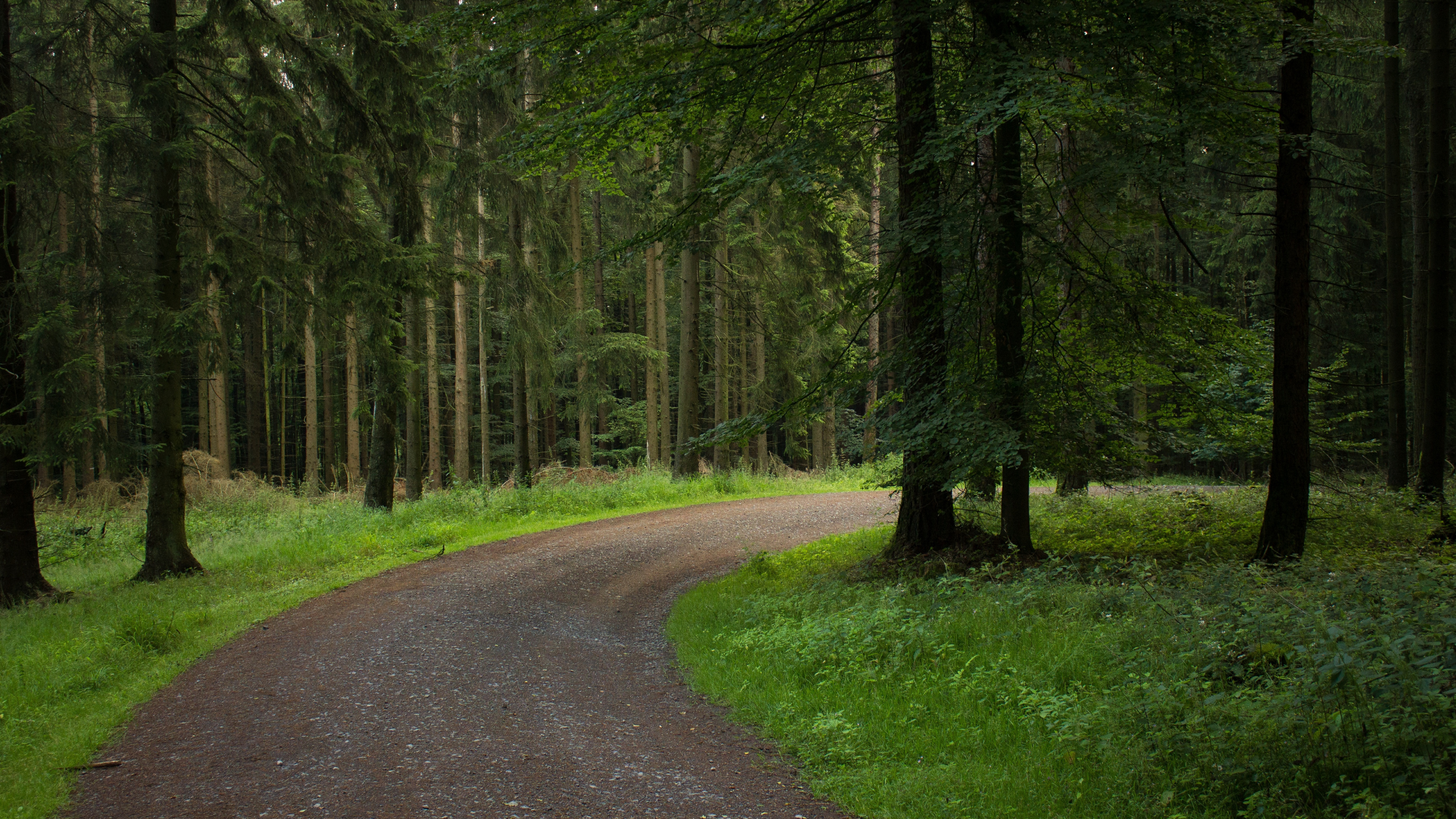Grünes Gras Und Bäume in Der Nähe Der Straße. Wallpaper in 3840x2160 Resolution