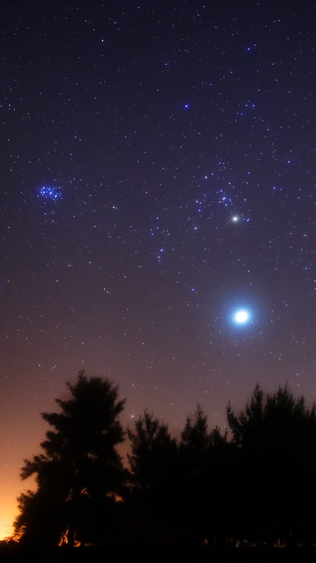 Silueta de Árboles Bajo un Cielo Azul Con Estrellas Durante la Noche. Wallpaper in 1080x1920 Resolution