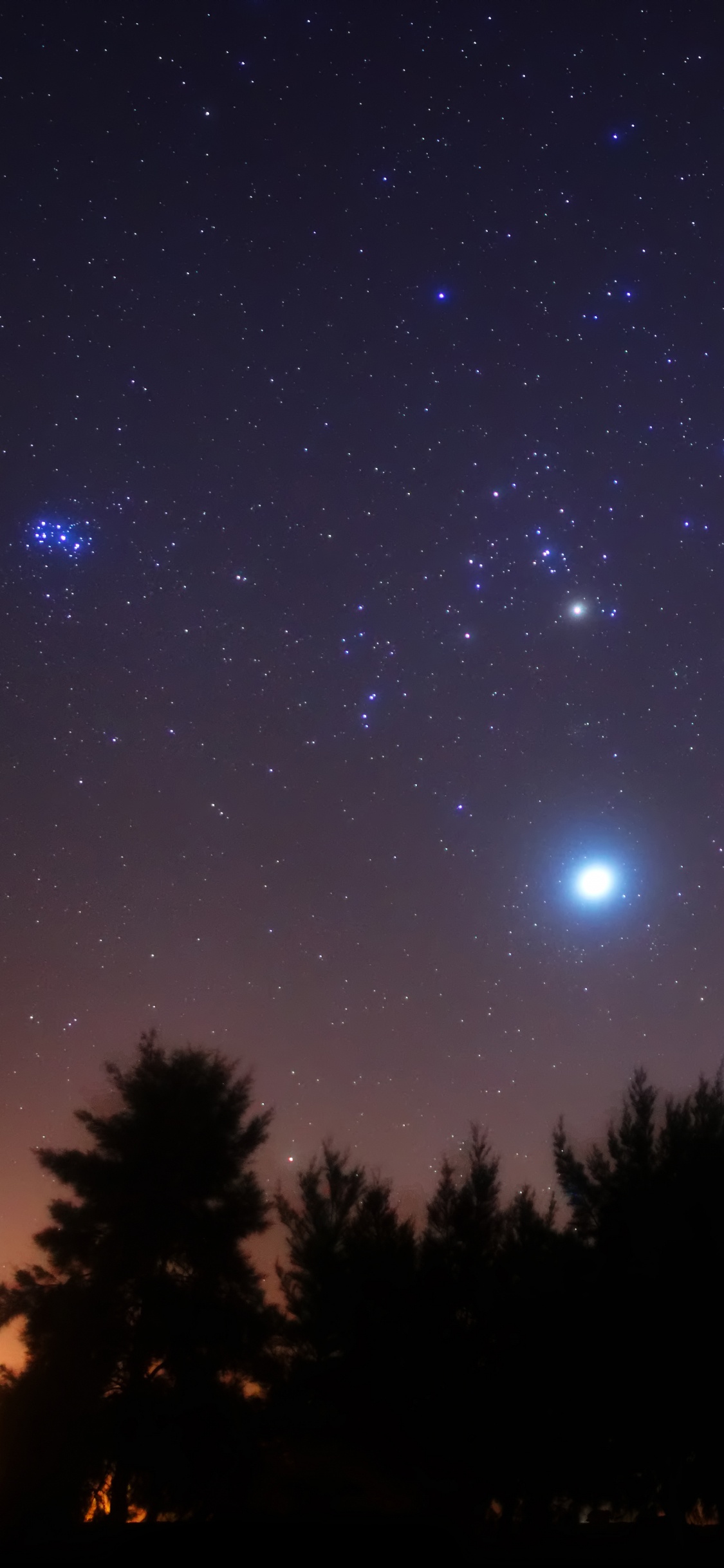 Silueta de Árboles Bajo un Cielo Azul Con Estrellas Durante la Noche. Wallpaper in 1125x2436 Resolution
