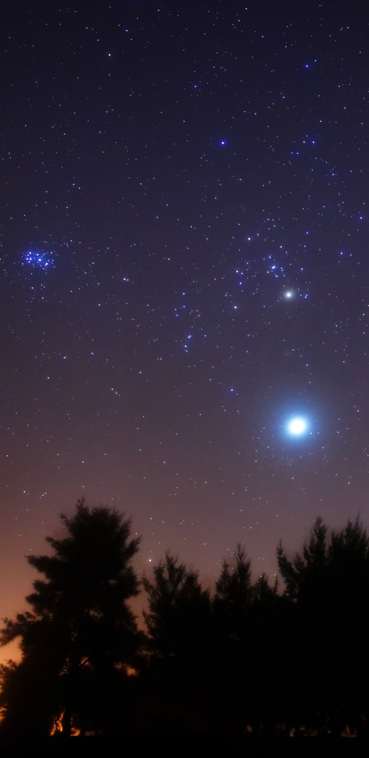 Silueta de Árboles Bajo un Cielo Azul Con Estrellas Durante la Noche. Wallpaper in 1440x2960 Resolution