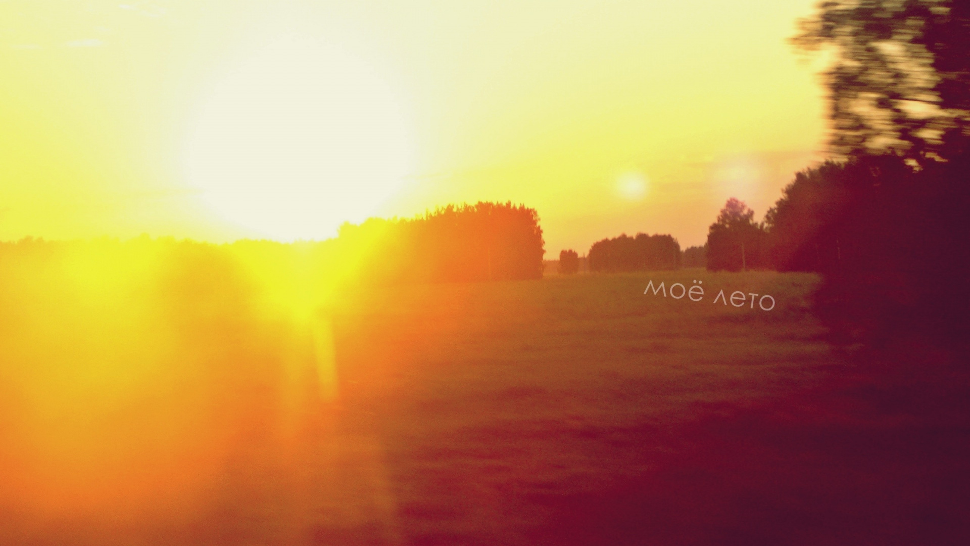 Silhouette of Trees During Sunset. Wallpaper in 1920x1080 Resolution