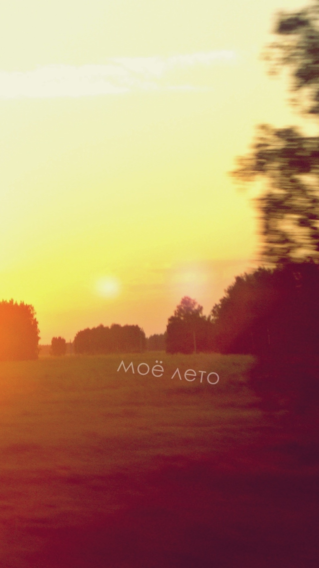 Silhouette Von Bäumen Bei Sonnenuntergang. Wallpaper in 1080x1920 Resolution