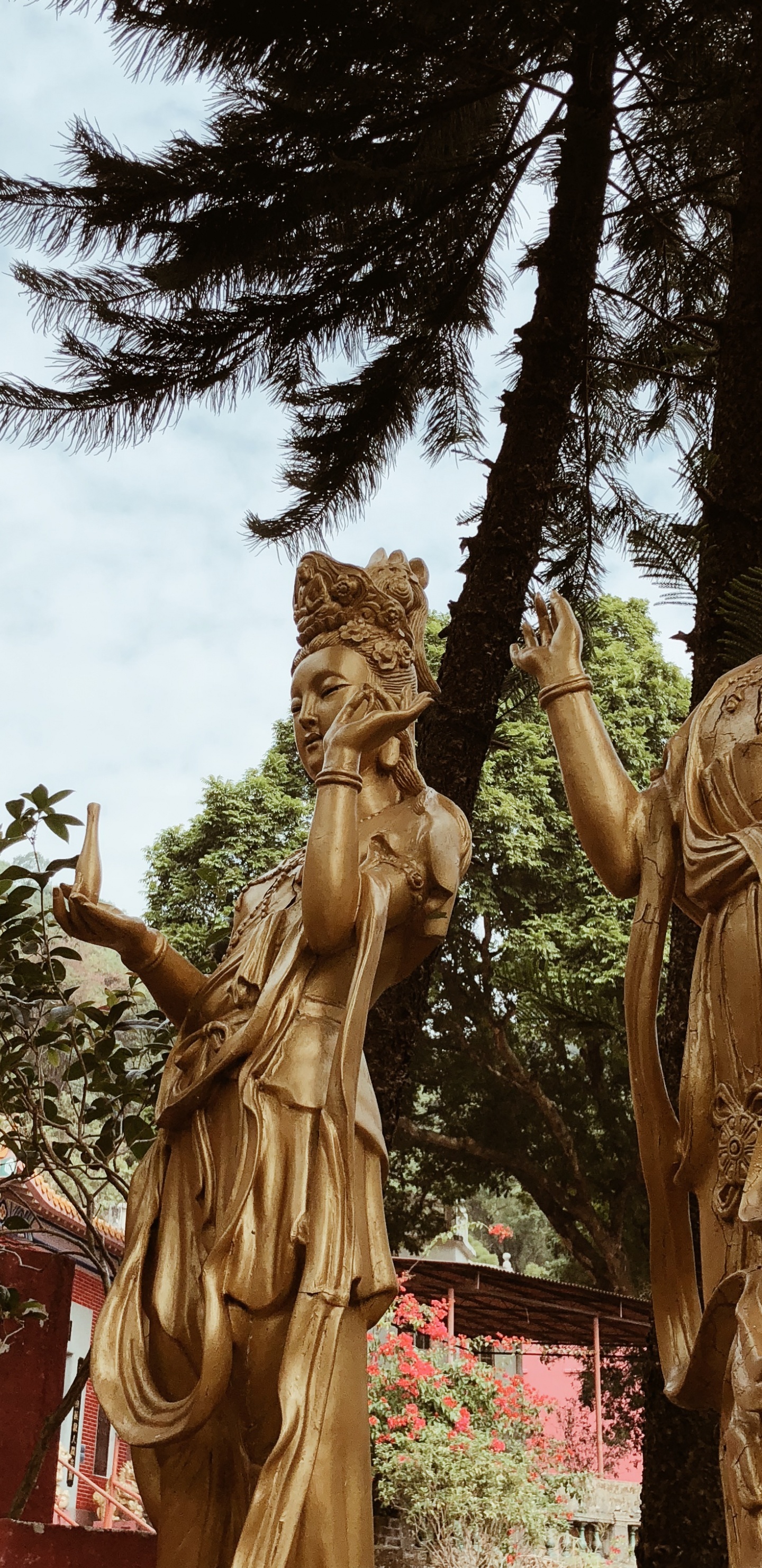 Hongkong, Statue, Stone Carving, Klassische Skulptur, Skulptur. Wallpaper in 1440x2960 Resolution