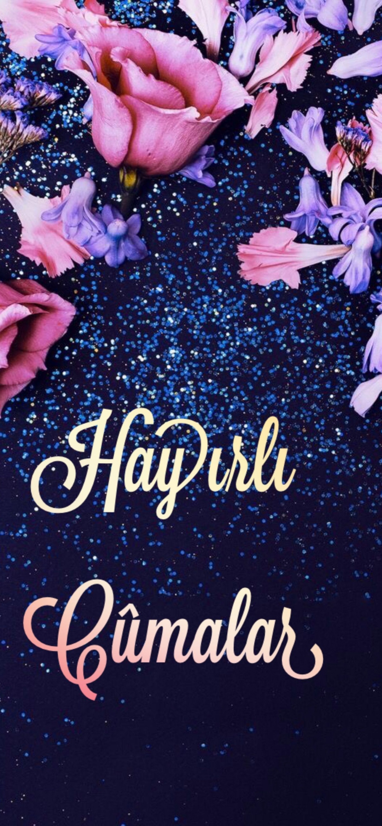 Happy New Year Greeting With Pink Rose. Wallpaper in 1242x2688 Resolution