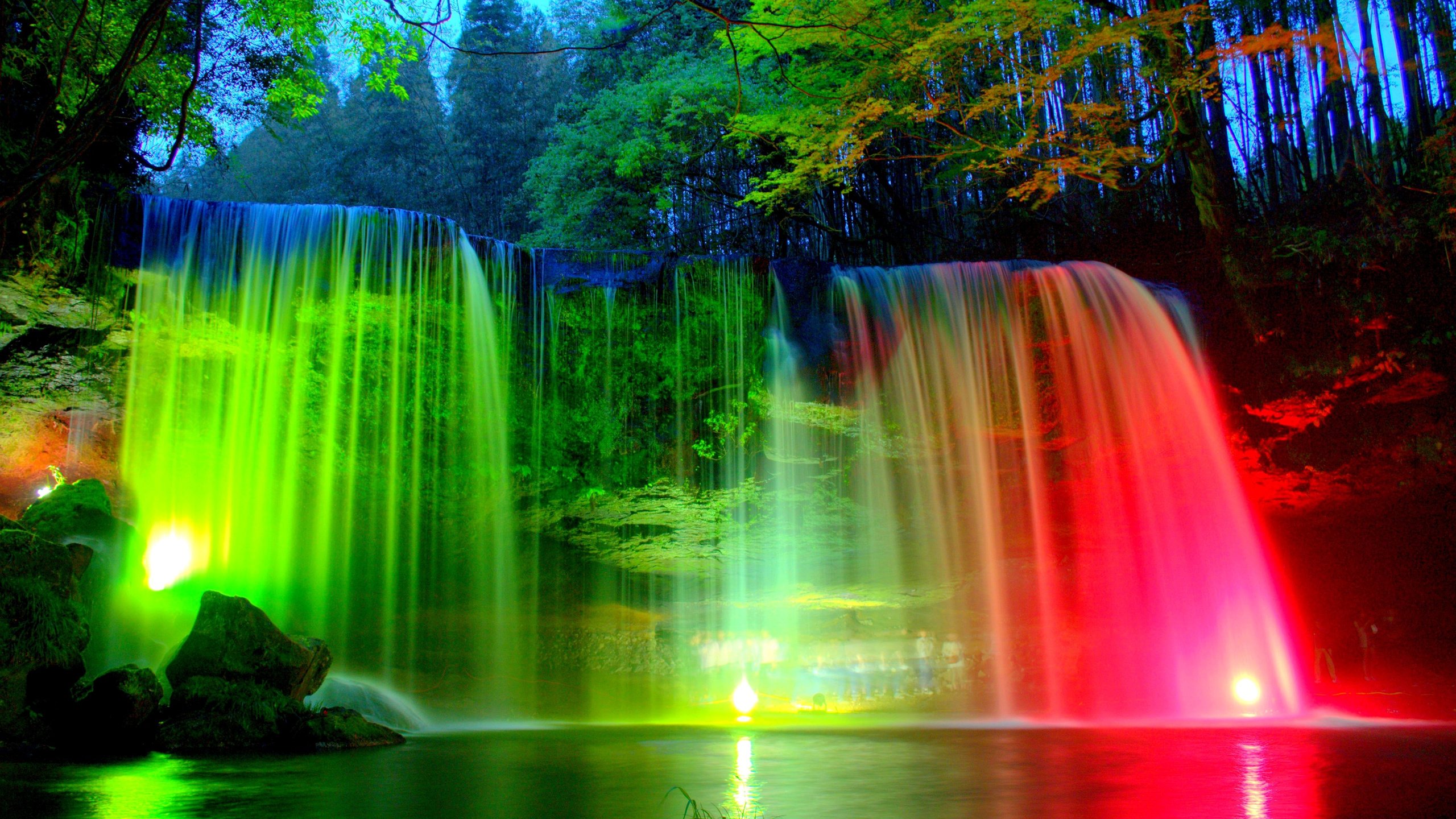 Water Falls in The Middle of Green Trees. Wallpaper in 2560x1440 Resolution