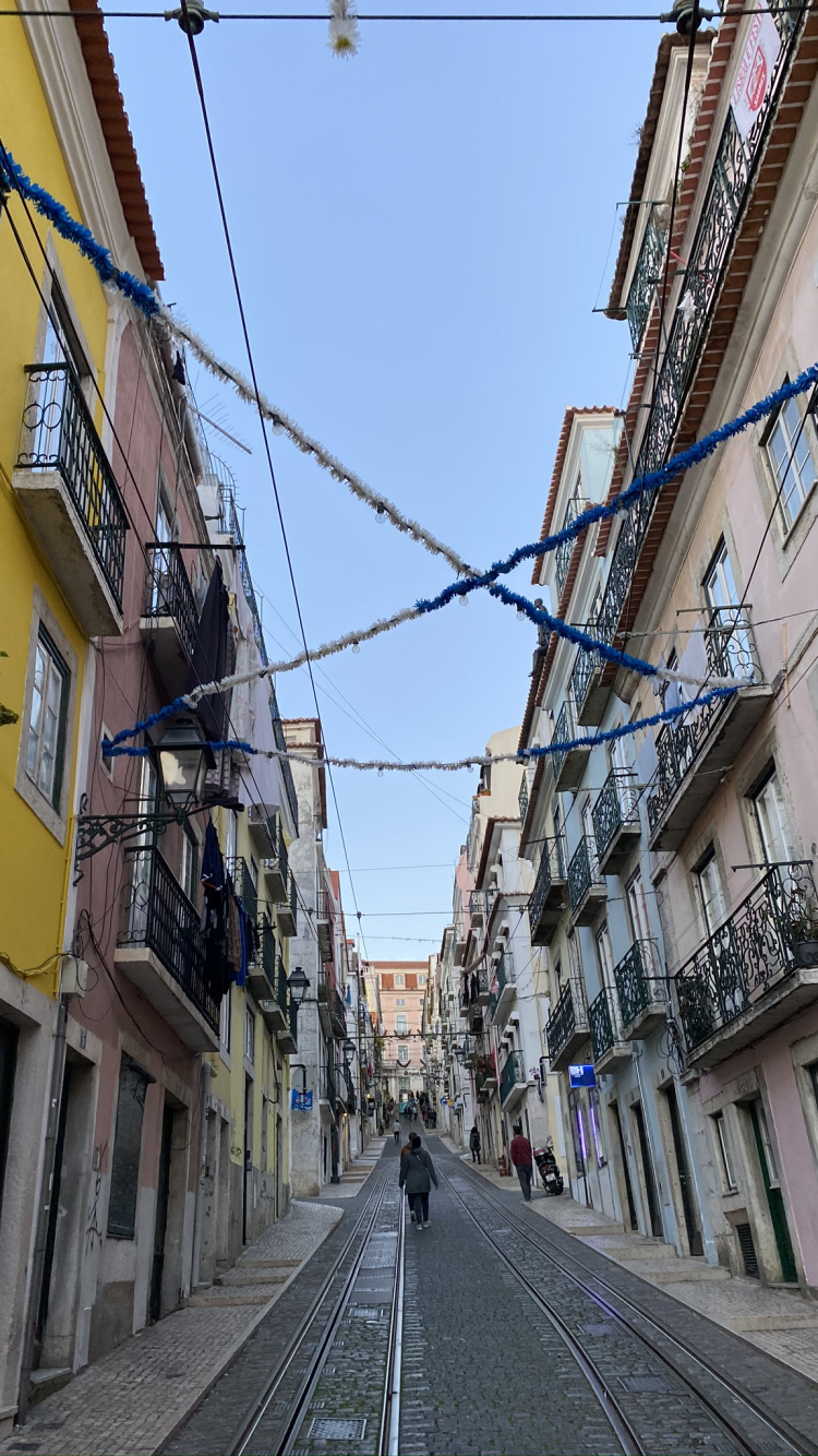 Daytime, Road, Town, Neighbourhood, Infrastructure. Wallpaper in 750x1334 Resolution