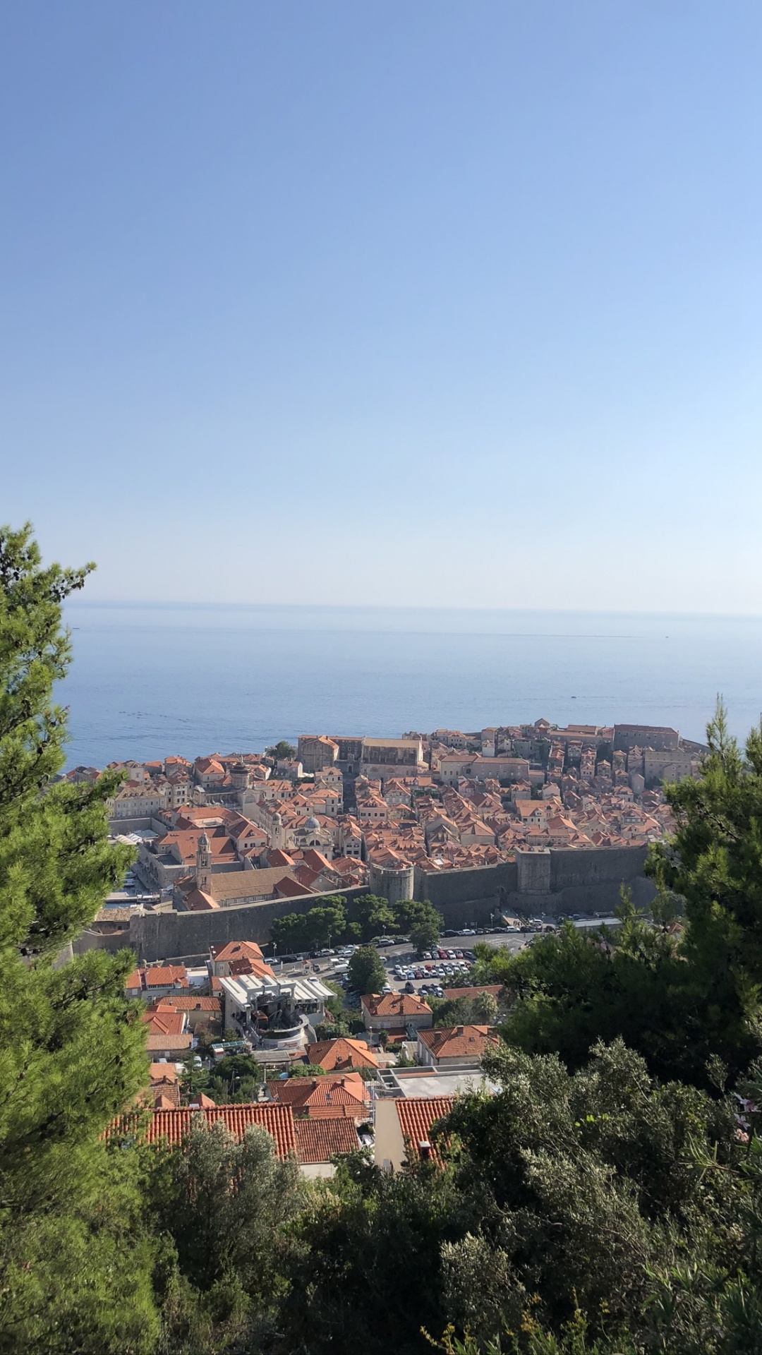 安装的风景, 科学, 生物学, 植被, 街区 壁纸 1080x1920 允许