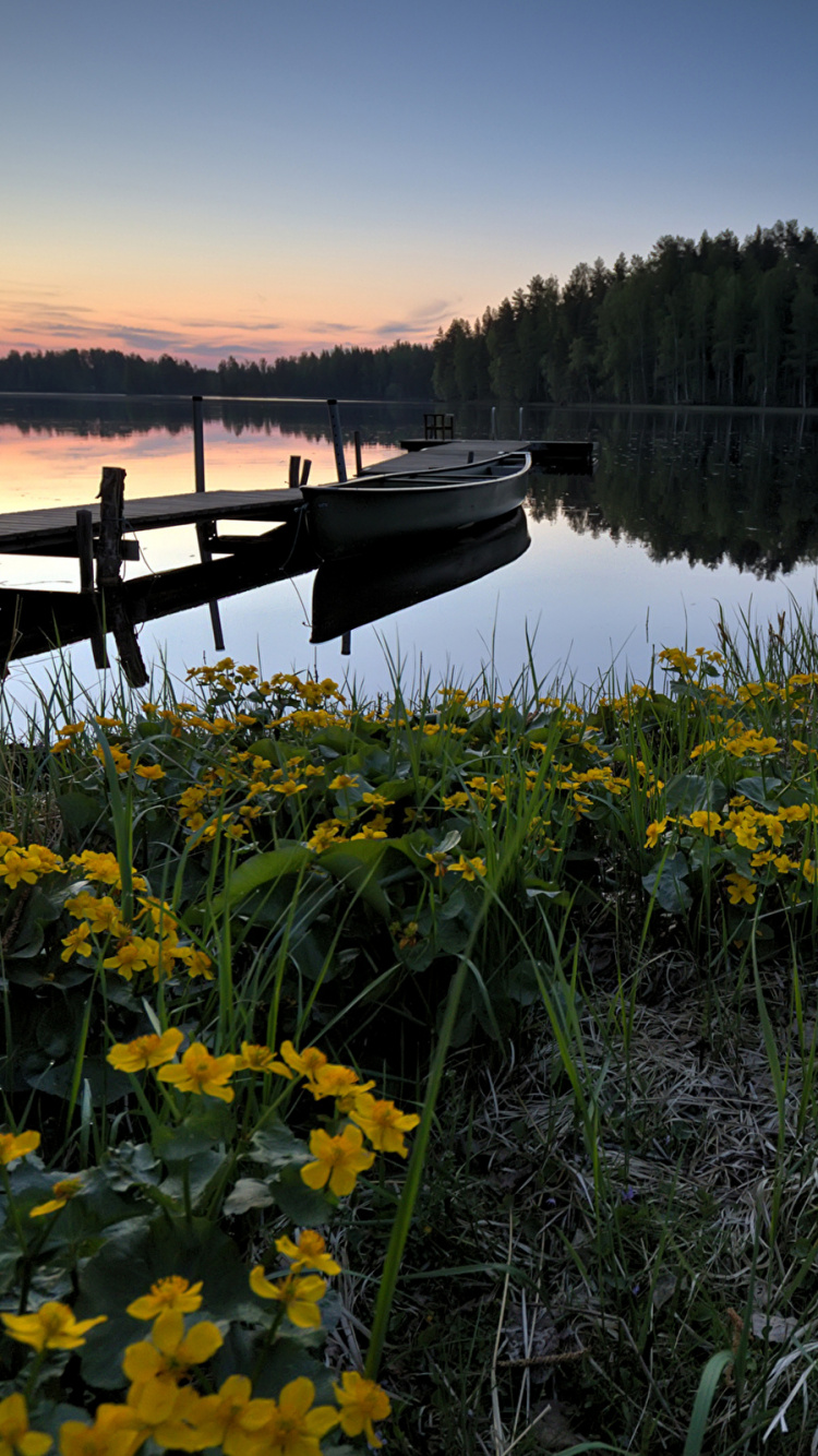 Brown Wooden Boat on Lake During Daytime. Wallpaper in 750x1334 Resolution