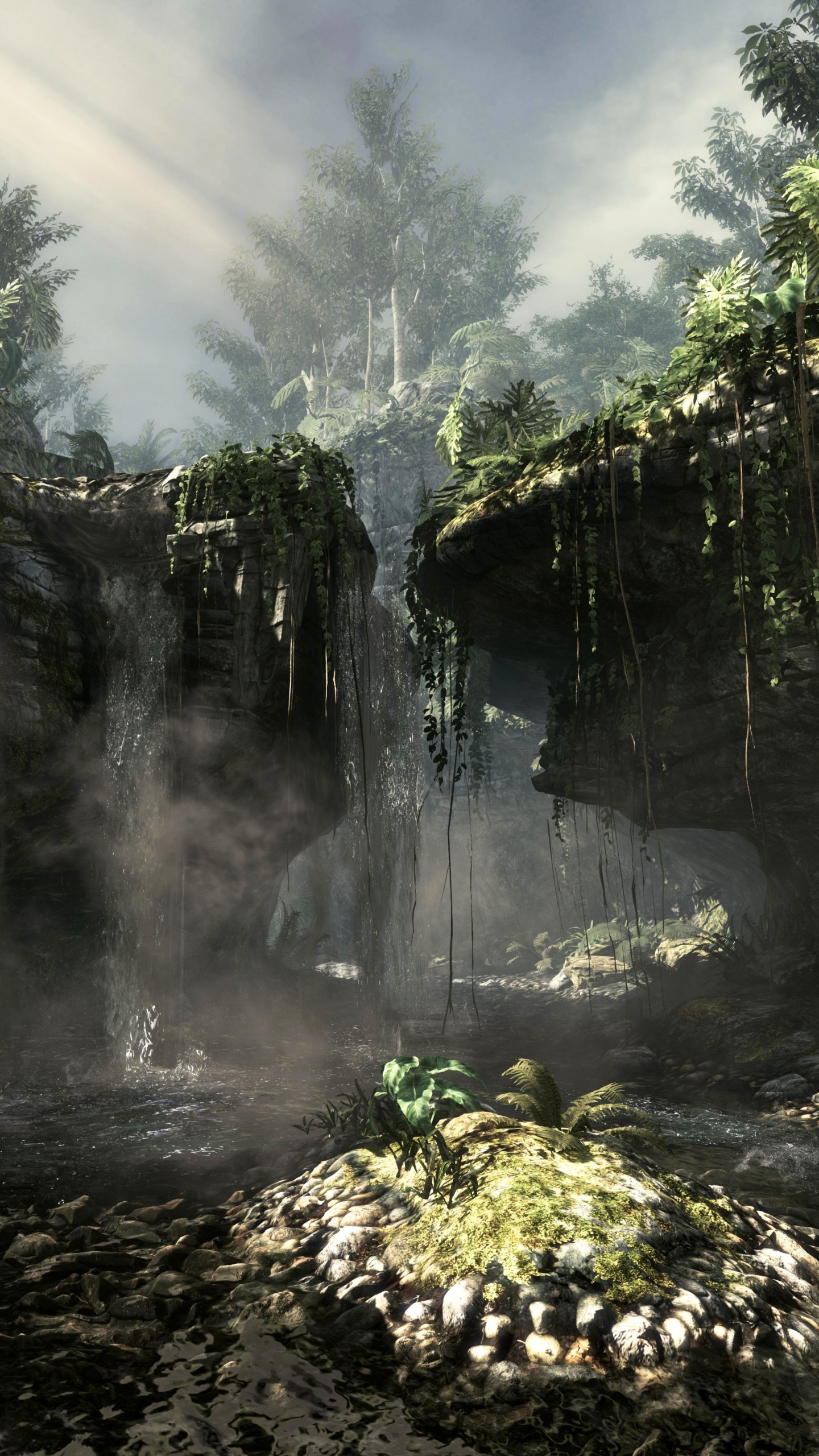 Call of Duty Ghosts, Call of Duty Black Ops Ii, Activision, Infinity Ward, Vegetation. Wallpaper in 1440x2560 Resolution