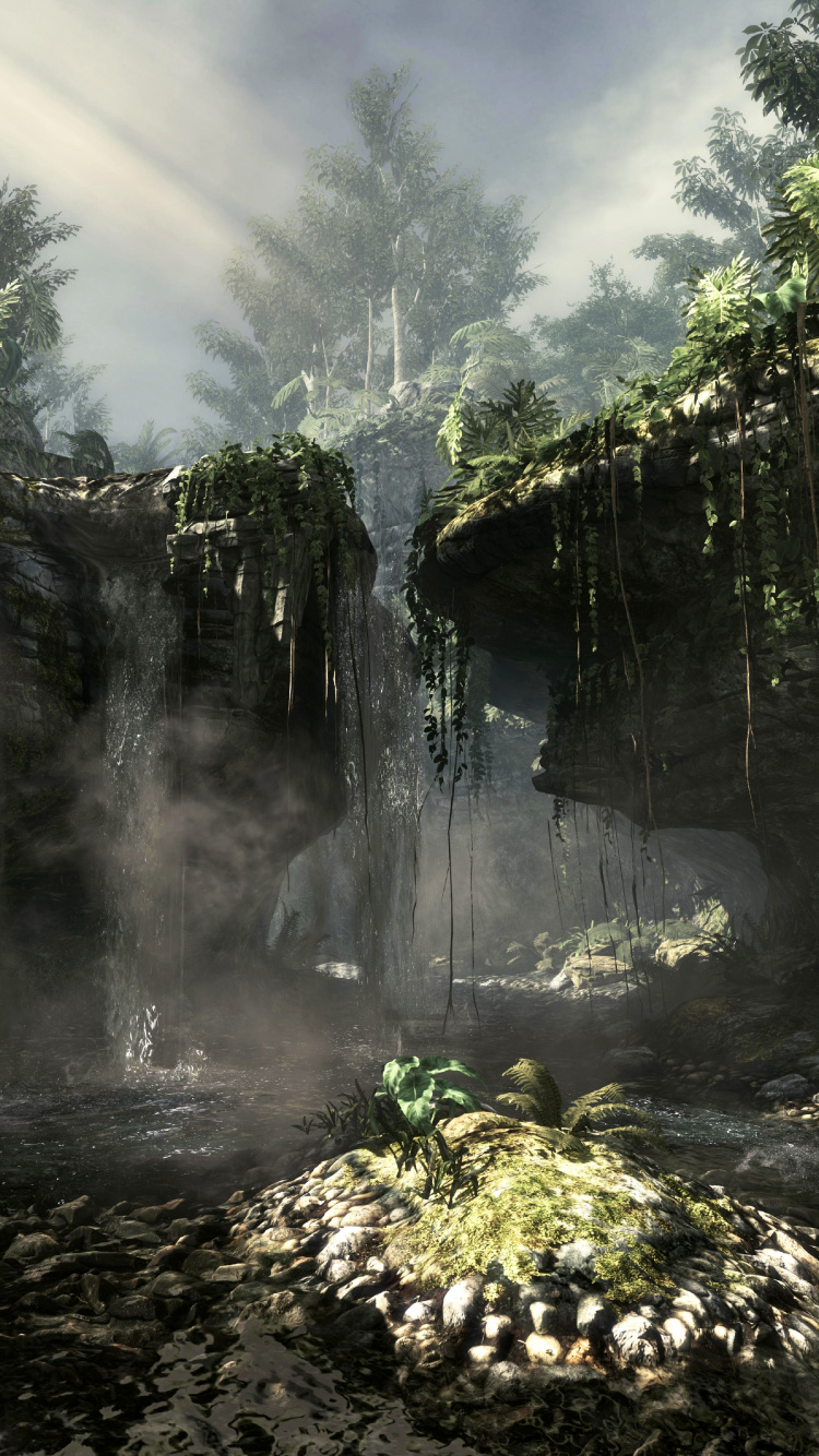 Call of Duty Ghosts, Call of Duty Black Ops Ii, Activision, Infinity Ward, Vegetation. Wallpaper in 750x1334 Resolution