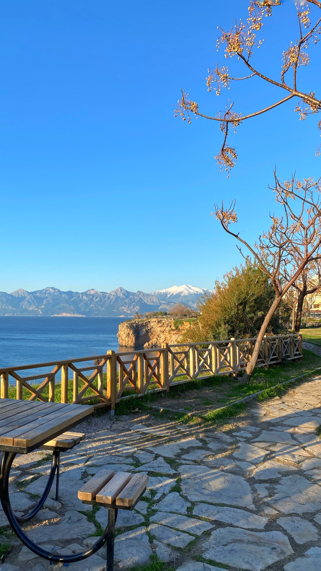 Wissenschaft, Physik, Wasser, Naturlandschaft, Holz. Wallpaper in 1080x1920 Resolution