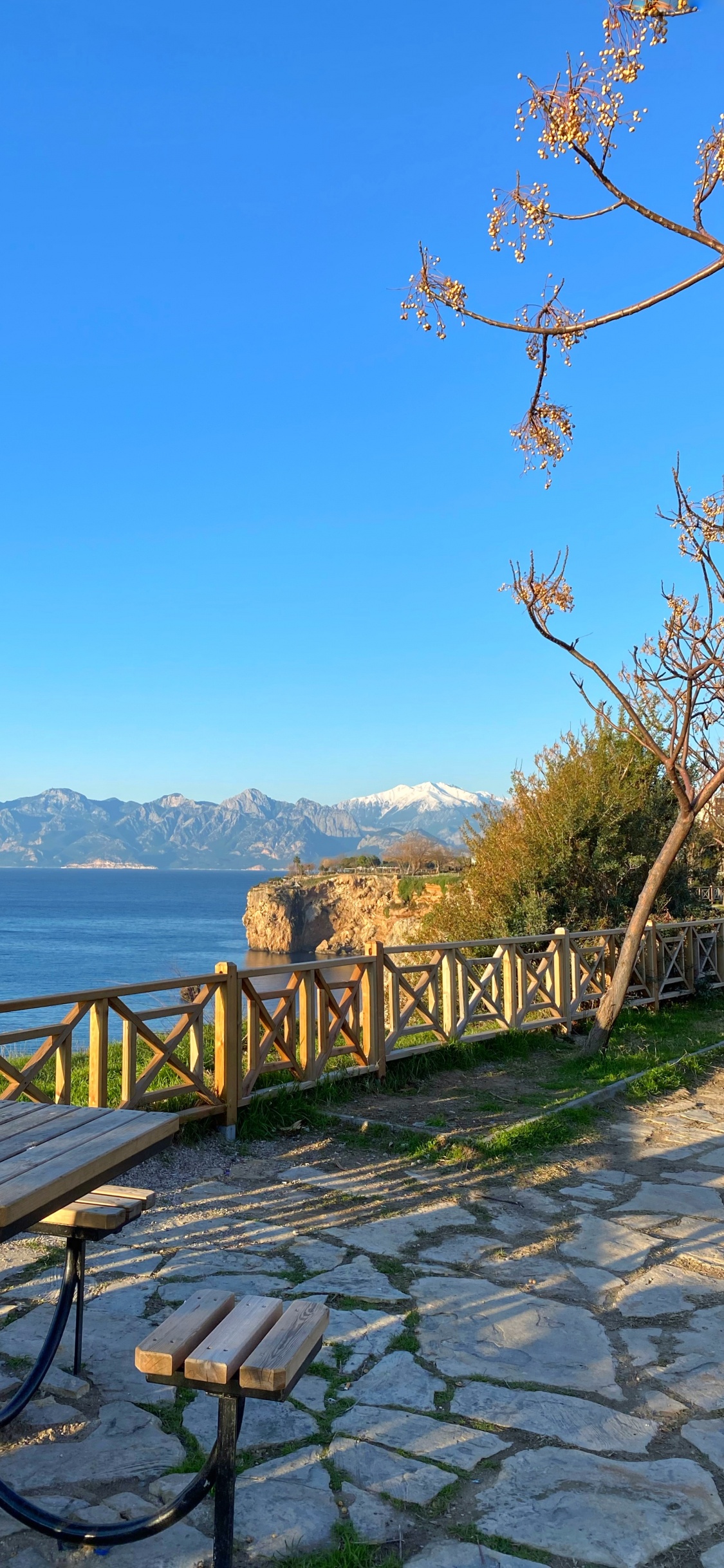 Wissenschaft, Physik, Wasser, Naturlandschaft, Holz. Wallpaper in 1125x2436 Resolution