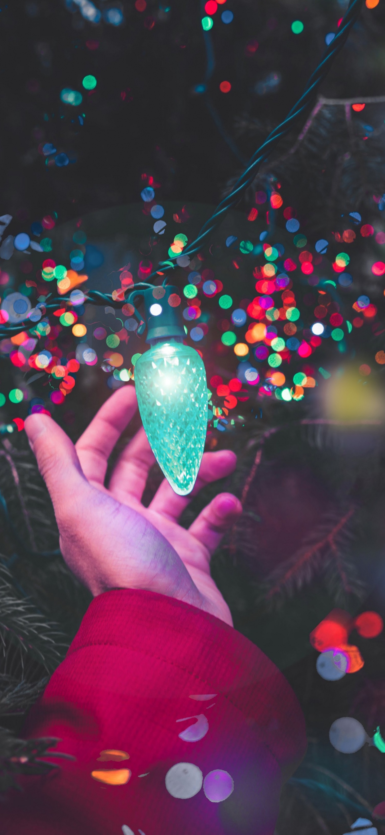 Christmas Lights, Christmas Day, Christmas Decoration, Christmas Tree, Light. Wallpaper in 1242x2688 Resolution