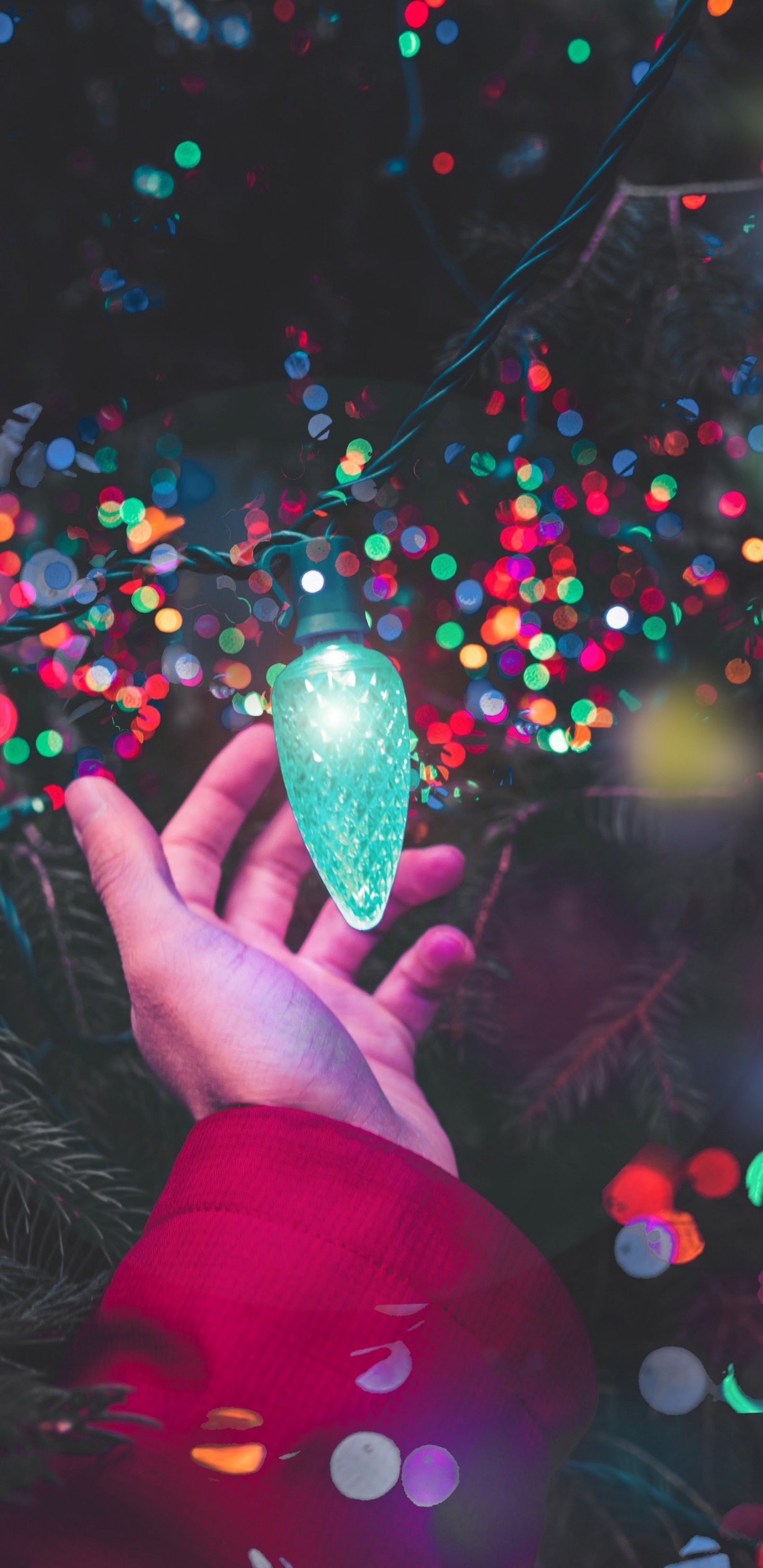 Christmas Lights, Christmas Day, Christmas Decoration, Christmas Tree, Light. Wallpaper in 1440x2960 Resolution