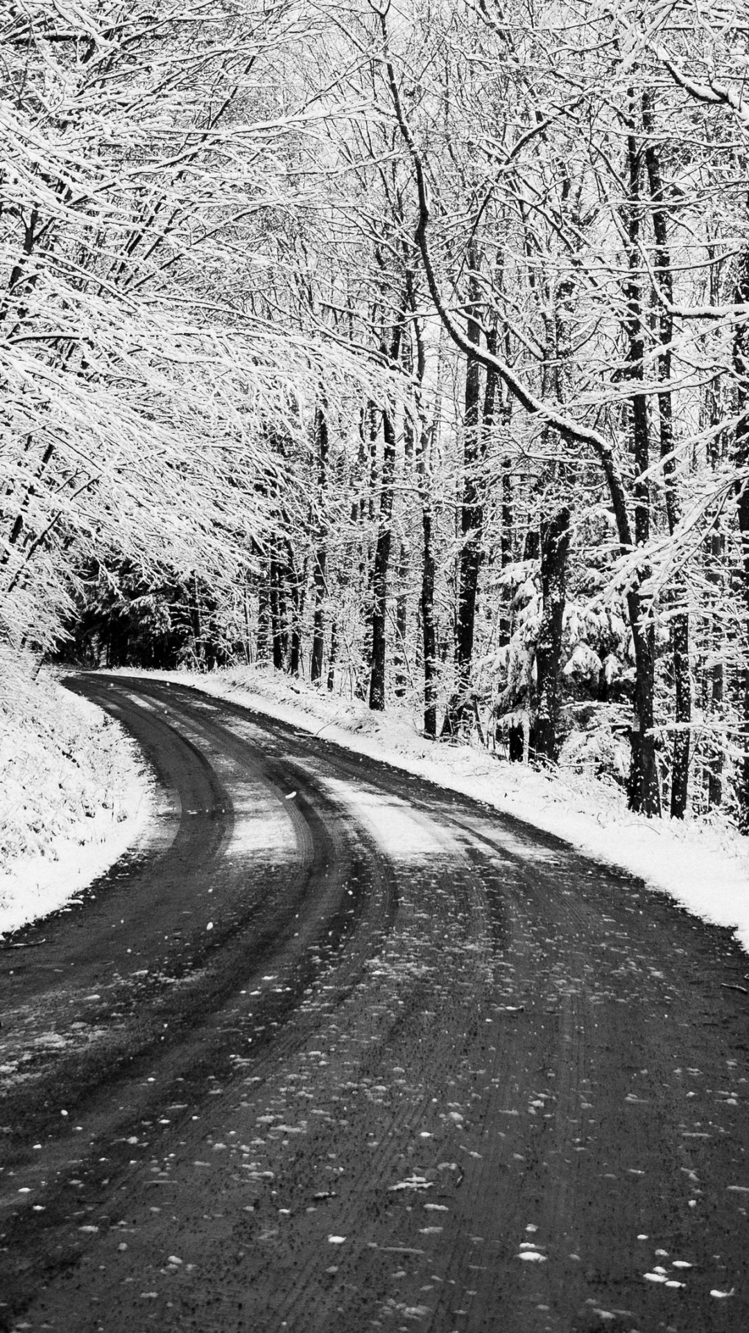Neige, Blizzard, Paysage Naturel, Rameau, Surface de la Route. Wallpaper in 1080x1920 Resolution