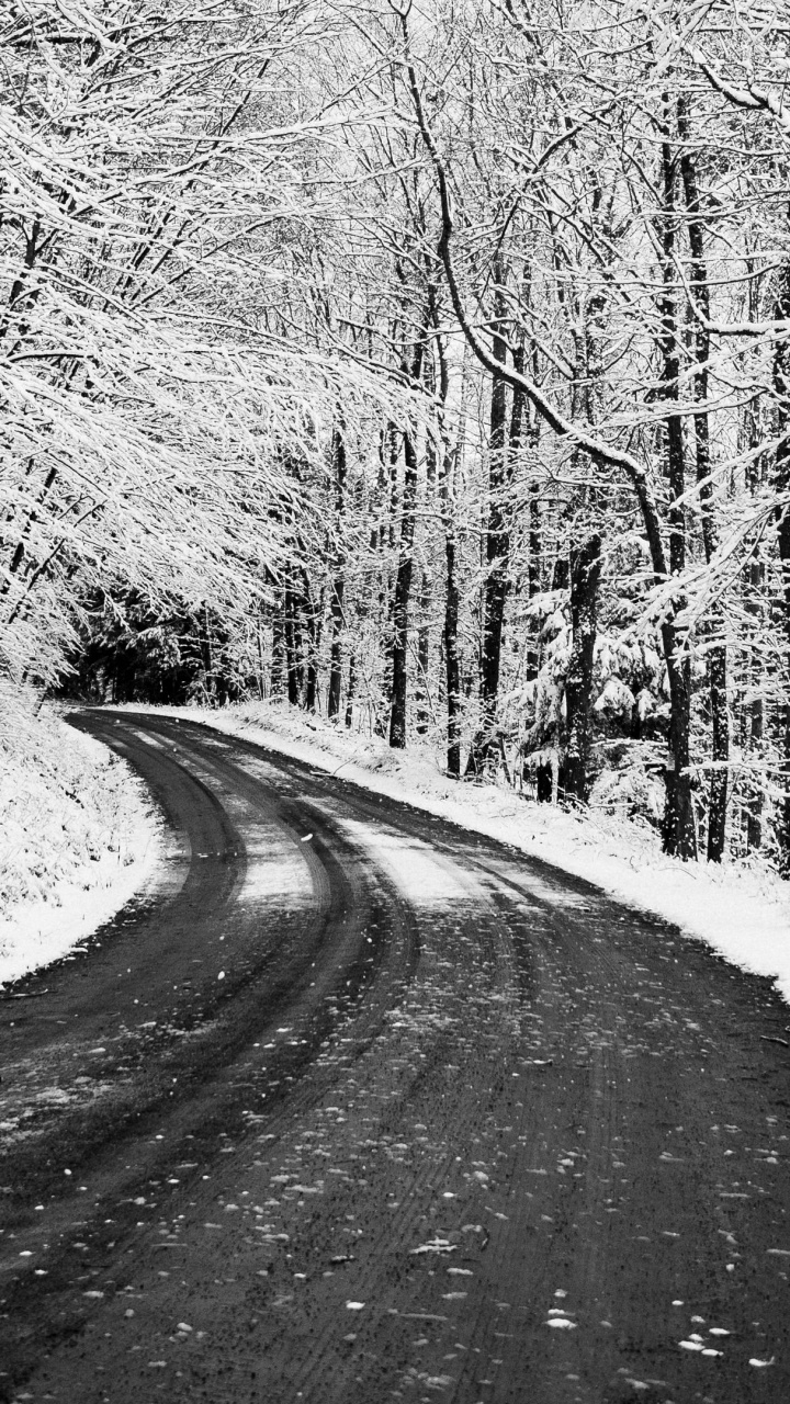 Nieve, Blizzard, Paisaje Natural, Sucursal, Madera. Wallpaper in 720x1280 Resolution