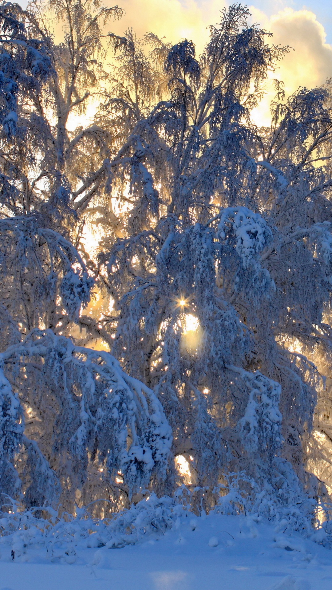White Trees on Snow Covered Ground Under White Clouds and Blue Sky During Daytime. Wallpaper in 1080x1920 Resolution