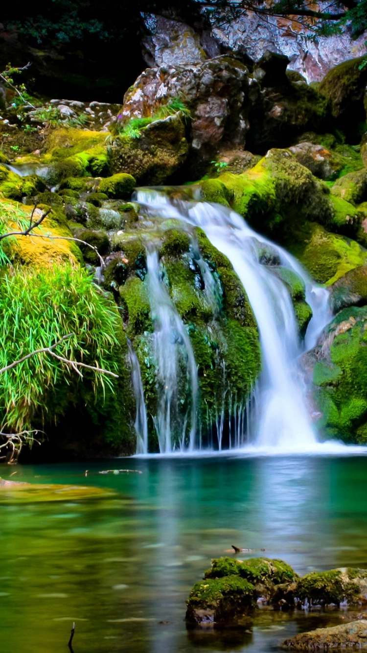 Wasser Fällt Mitten in Grüne Bäume. Wallpaper in 750x1334 Resolution