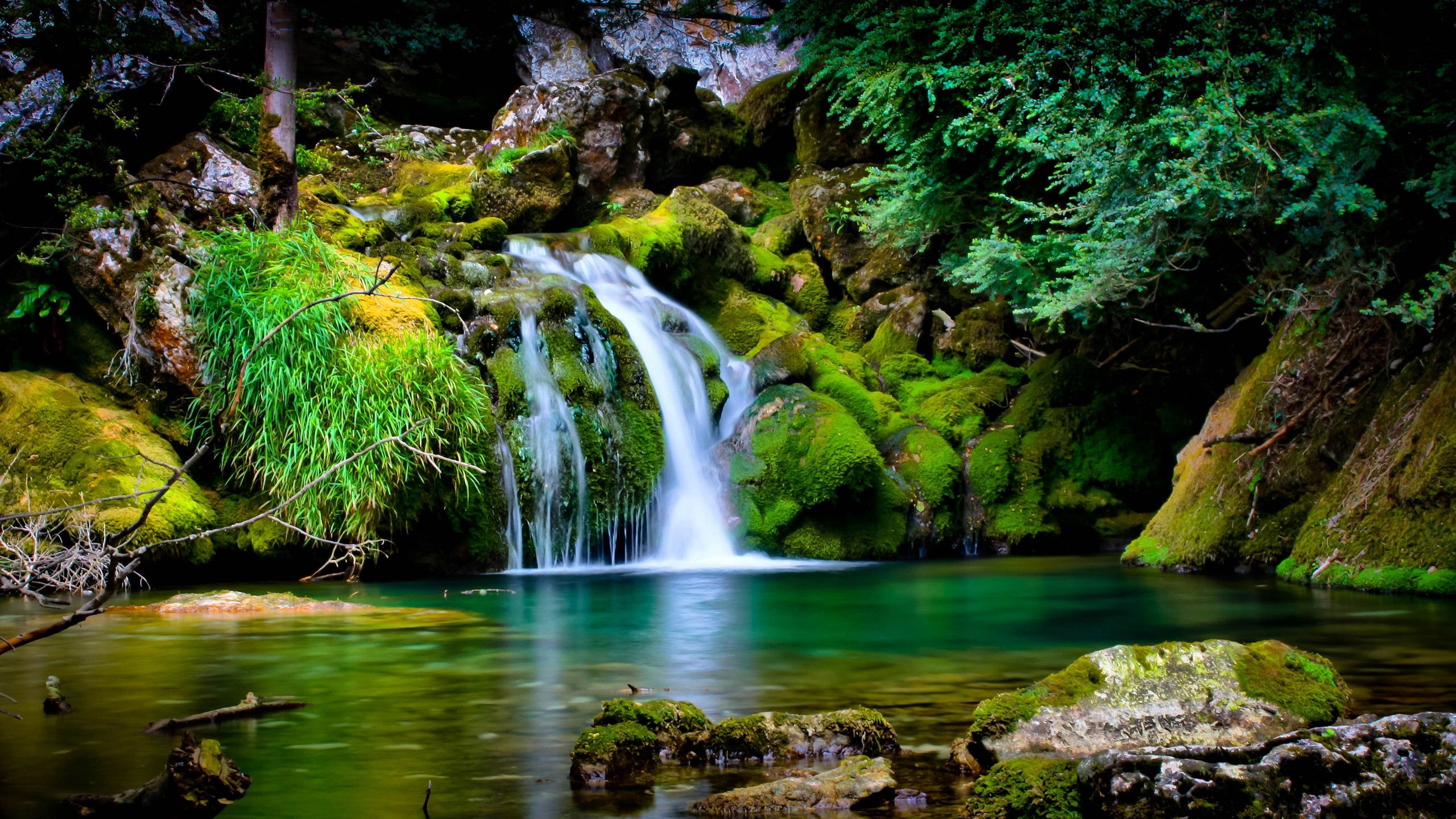 Water Falls in The Middle of Green Trees. Wallpaper in 2560x1440 Resolution