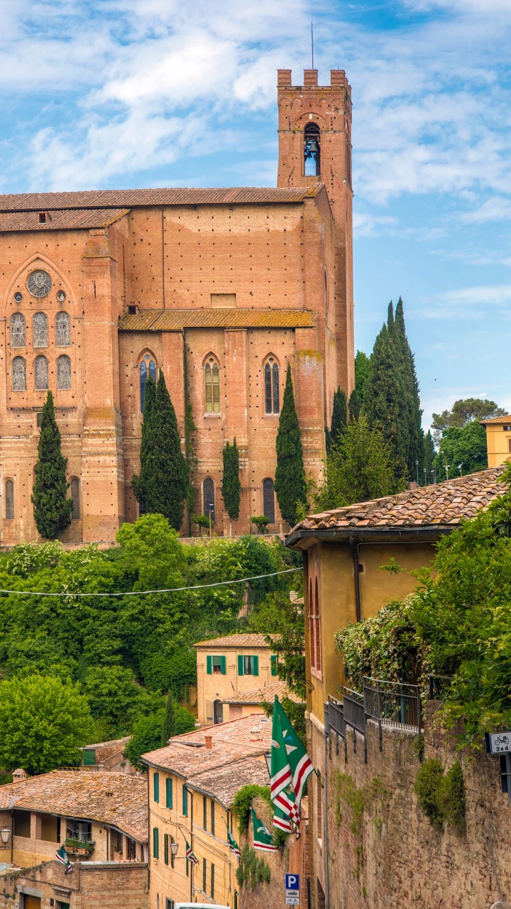 Brown Concrete Building Near Green Trees During Daytime. Wallpaper in 720x1280 Resolution