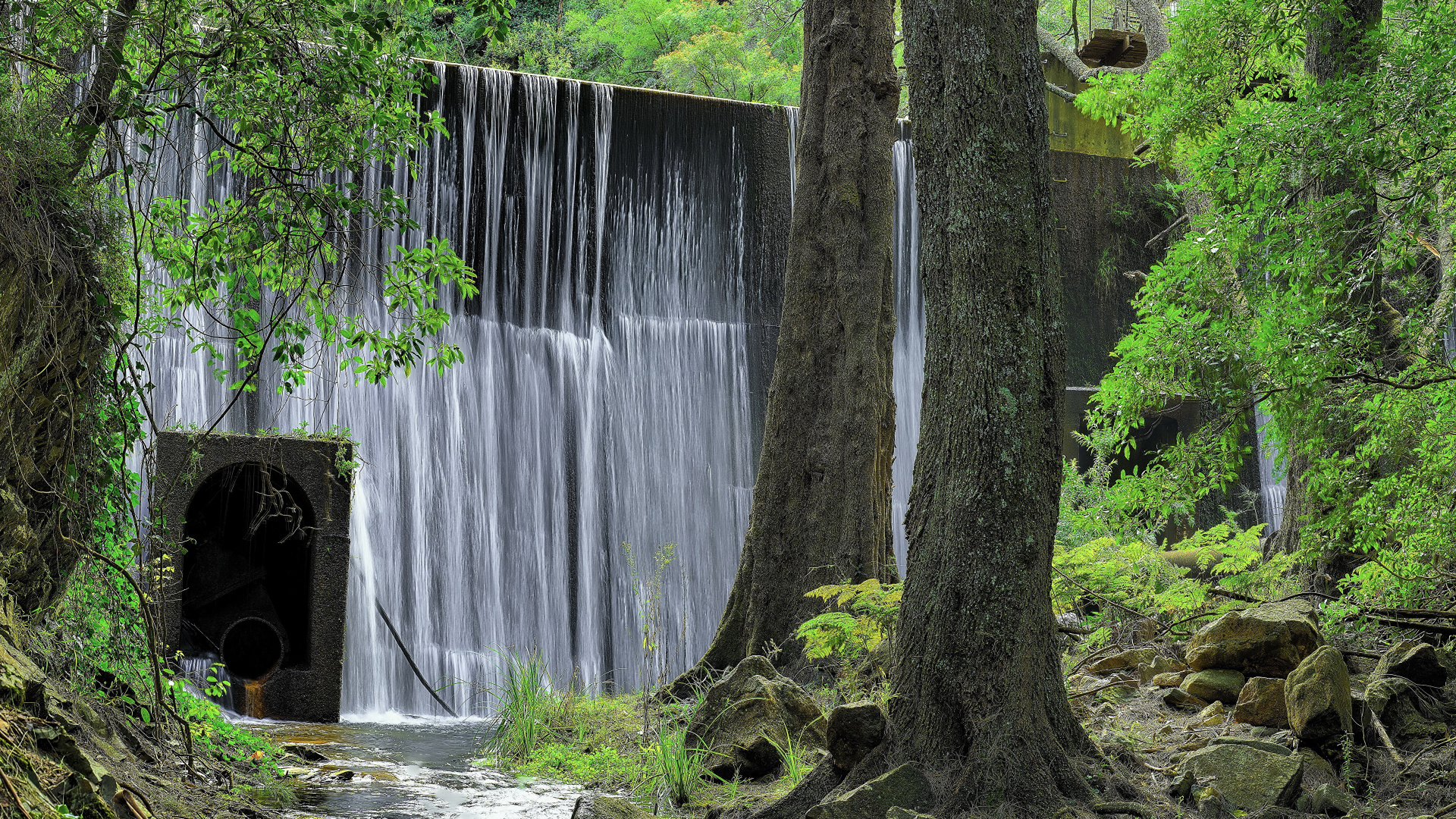 Brown Tree Trunk Near Water Falls. Wallpaper in 1920x1080 Resolution