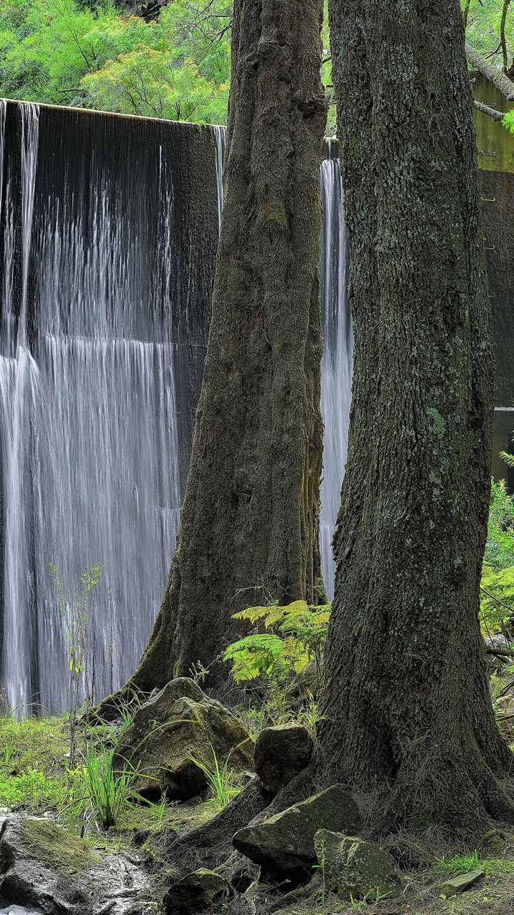 Brown Tree Trunk Near Water Falls. Wallpaper in 720x1280 Resolution