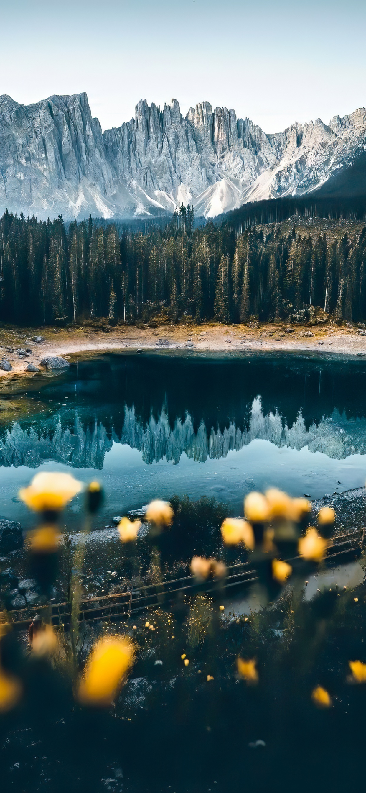 Karersee, Landscape, Water, Mountain, Plant. Wallpaper in 1242x2688 Resolution