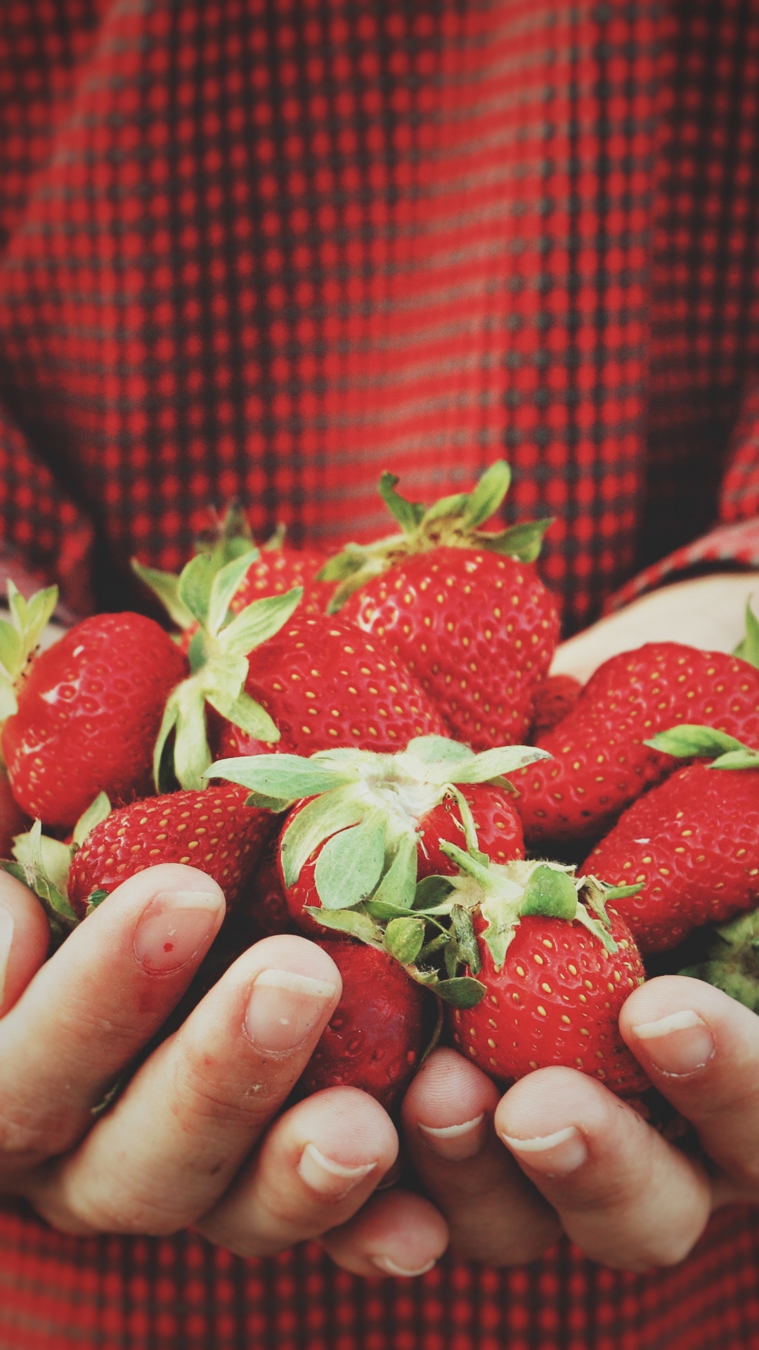 Person Holding Strawberries on Hand. Wallpaper in 1080x1920 Resolution